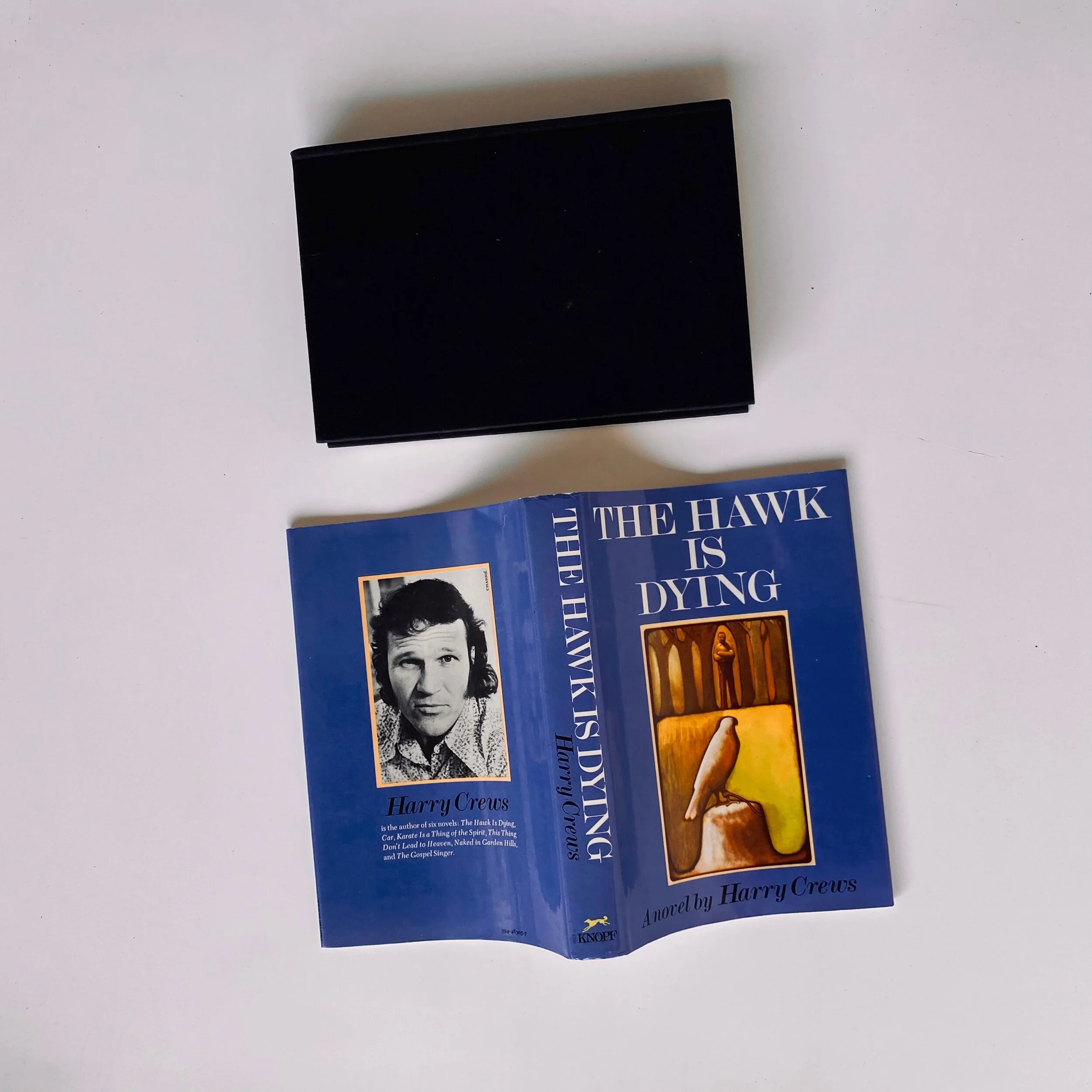 D4791F7A-C368-438E-B6FD-F1F1E96BAEEB