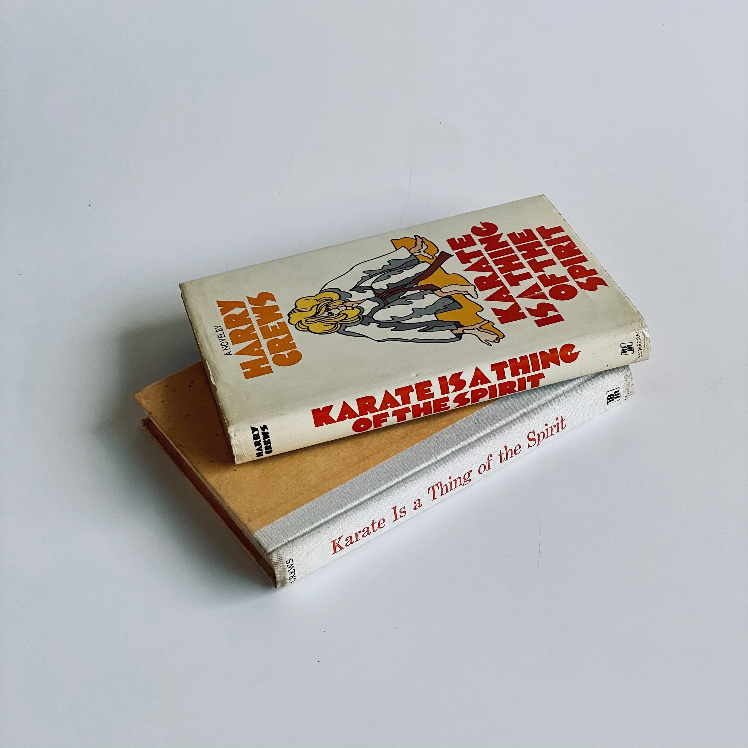 Karate Is A Thing Of The Spirit by Harry Crews *Review Copy*