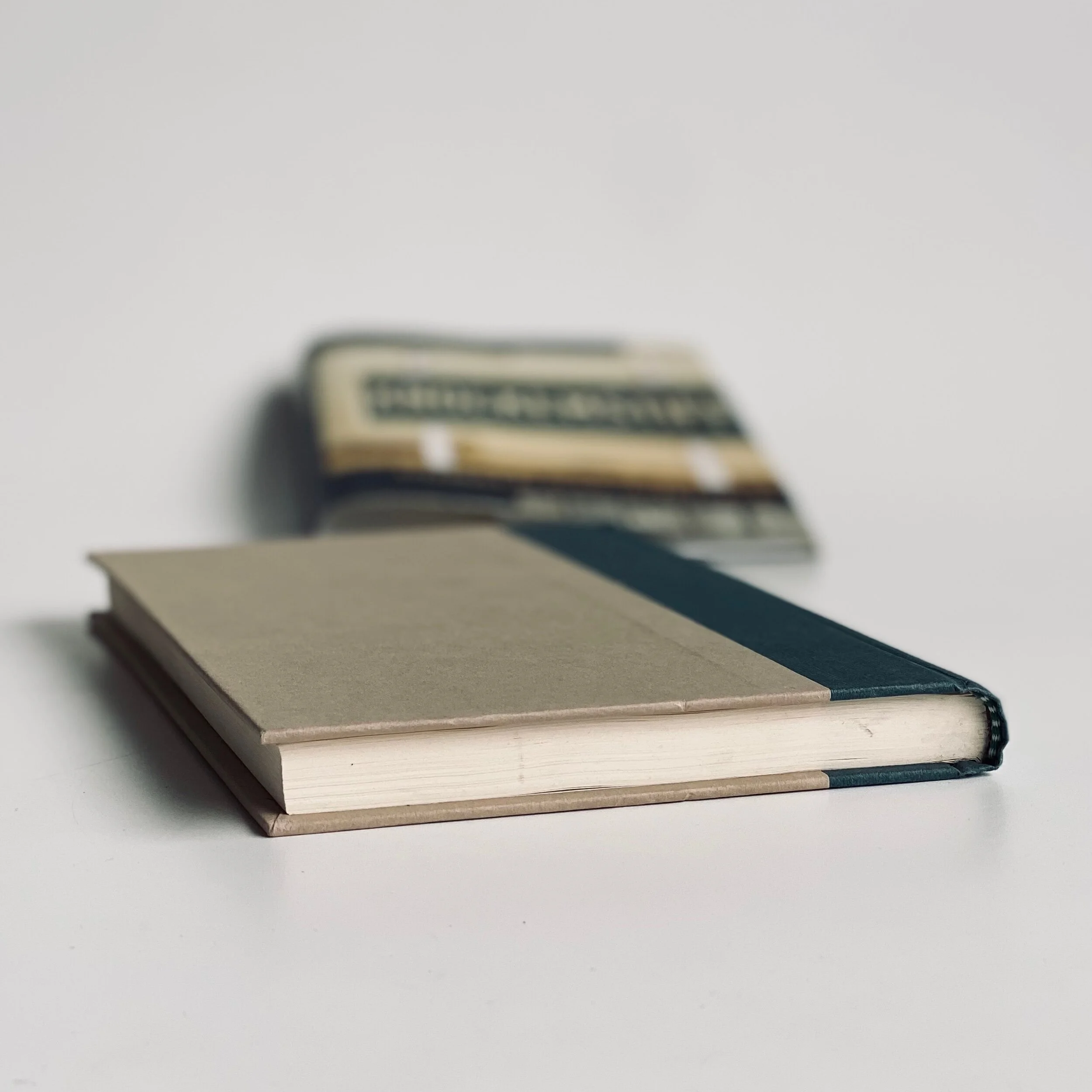 999309BB-BE2C-46DB-AC3E-A6012DAB099A