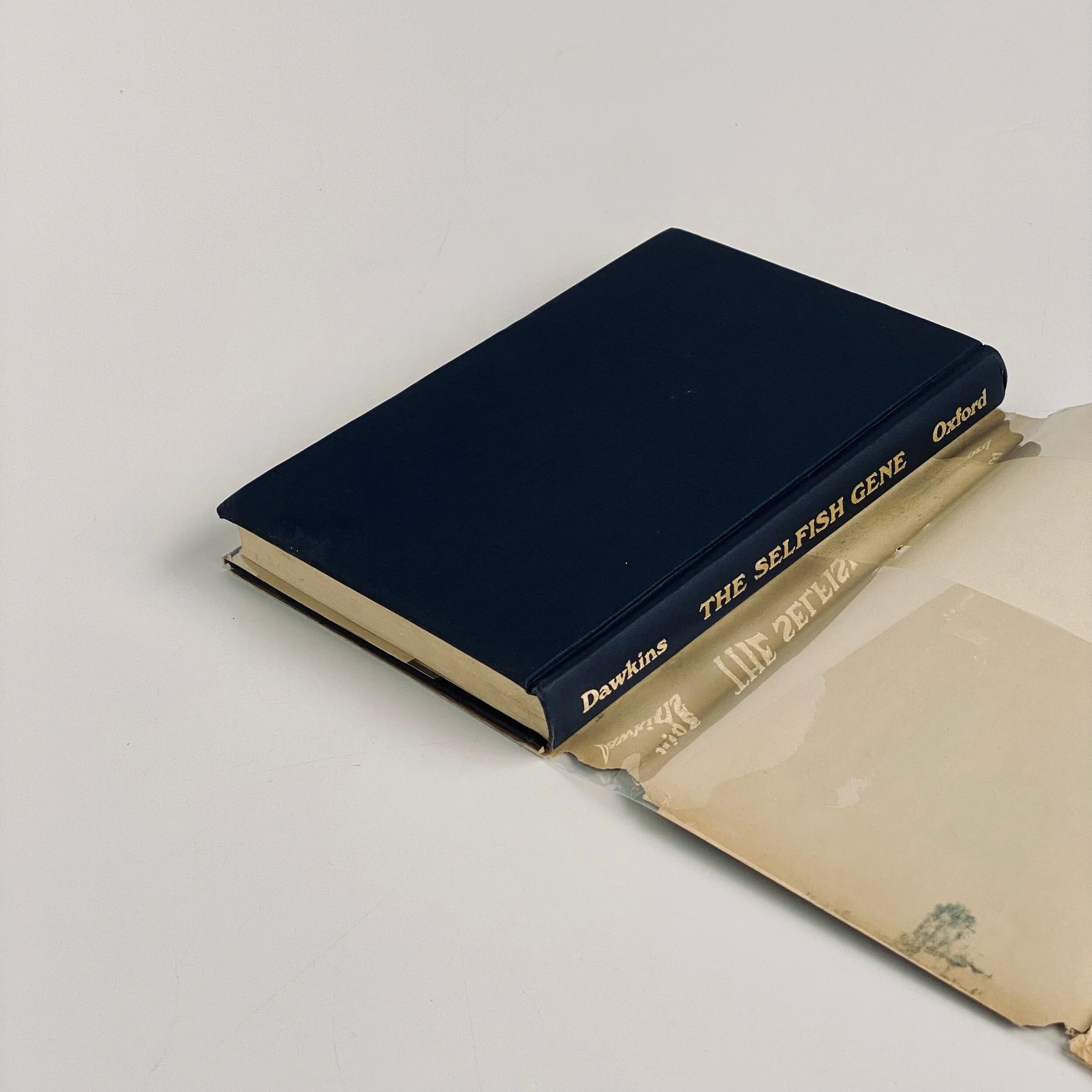 6F0447DD-874B-4EC7-B483-C6FBB4FE37E6