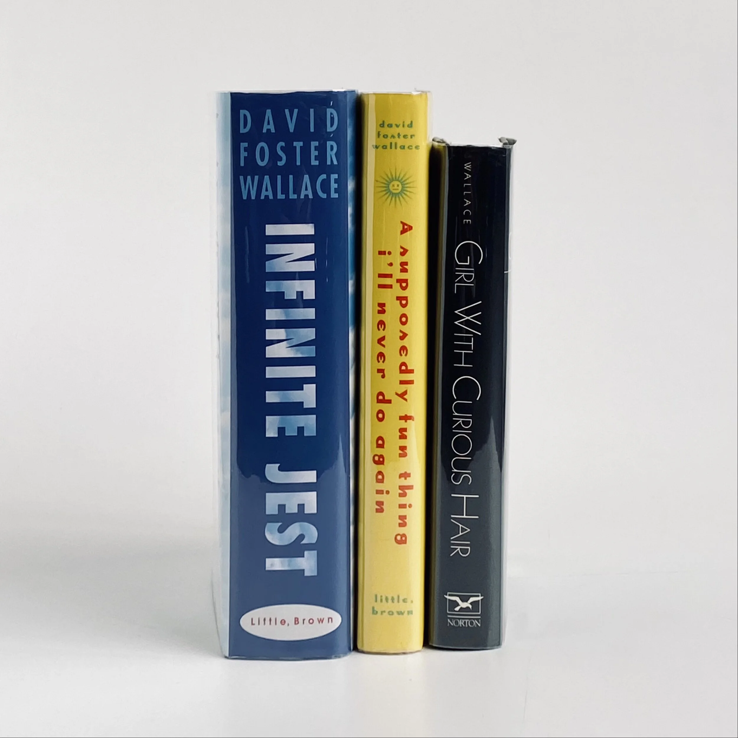Book Lot: Infinite Jest, Girl With Curious Hair, A Supposedly Fun Thing I'll Never Do Again by David Foster Wallace
