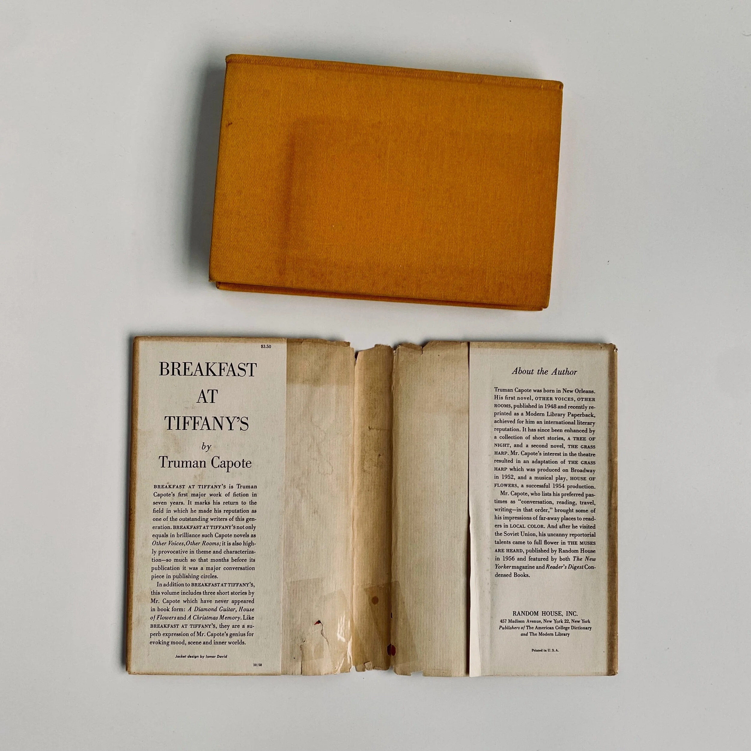 D5F5733F-E367-4BCF-BF09-0F603908E494