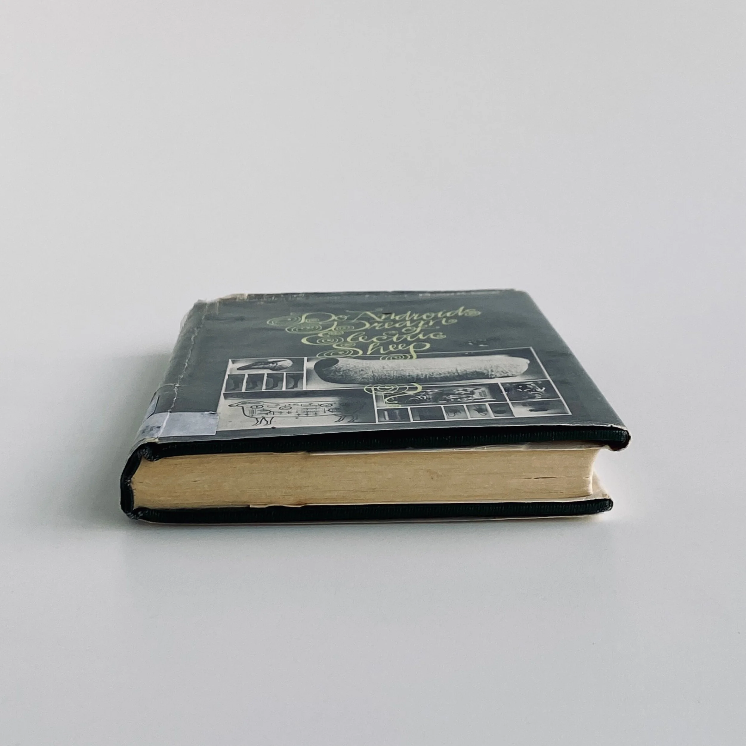 01690F6C-7367-4CAB-B860-3A84C53FEEB3