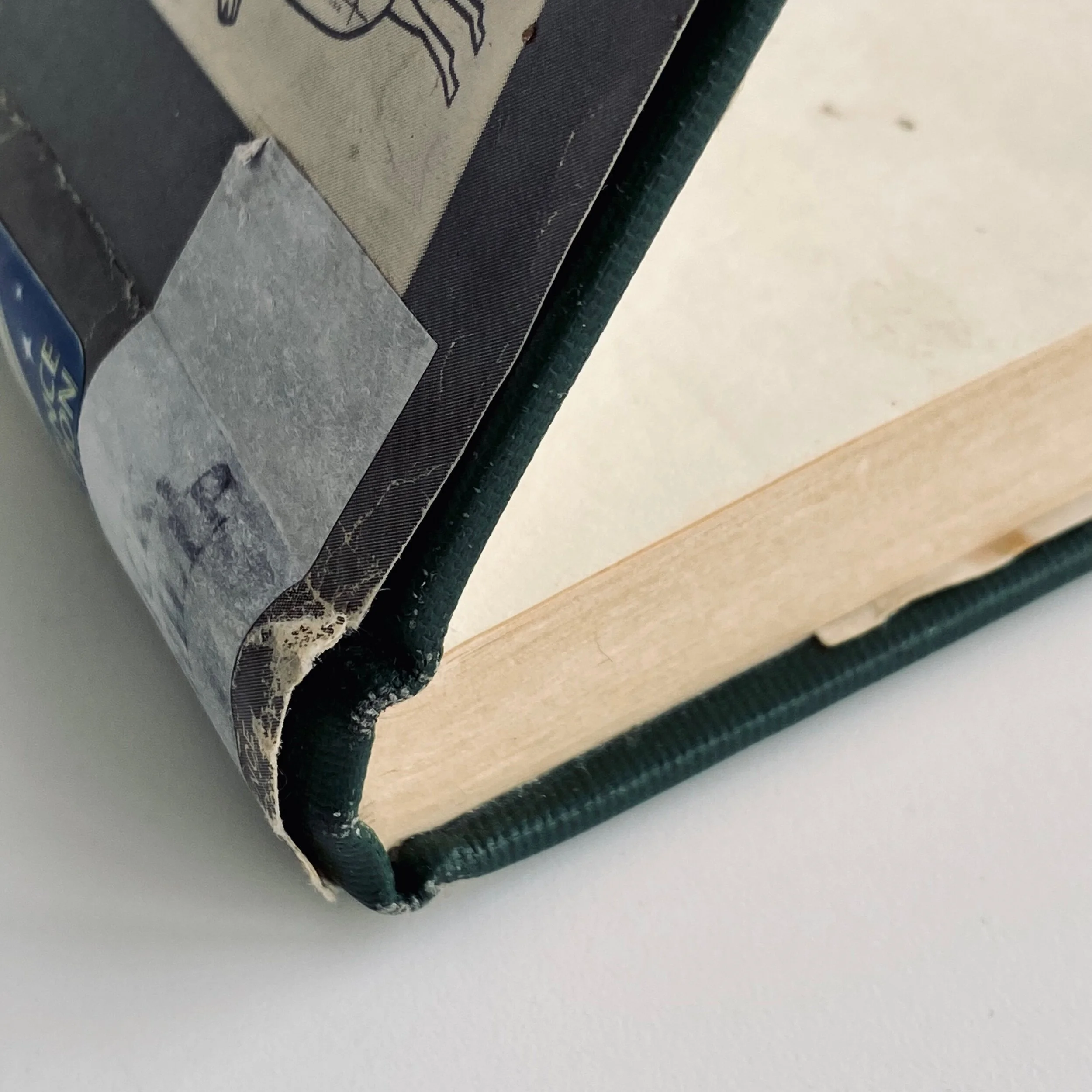 A236B126-3749-4CF0-860C-D45E3753A68D