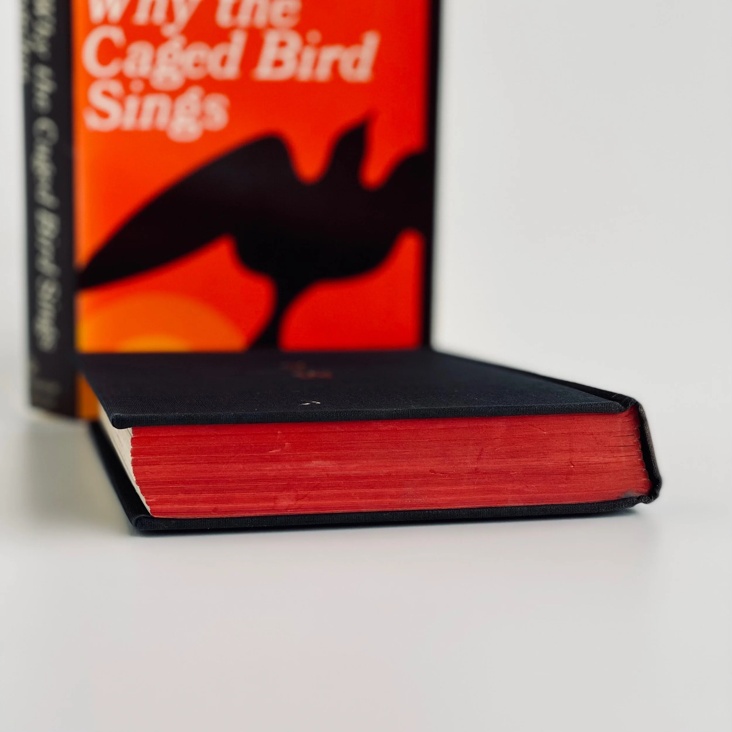 02C94868-0F30-4E60-A704-BF24981EC19A