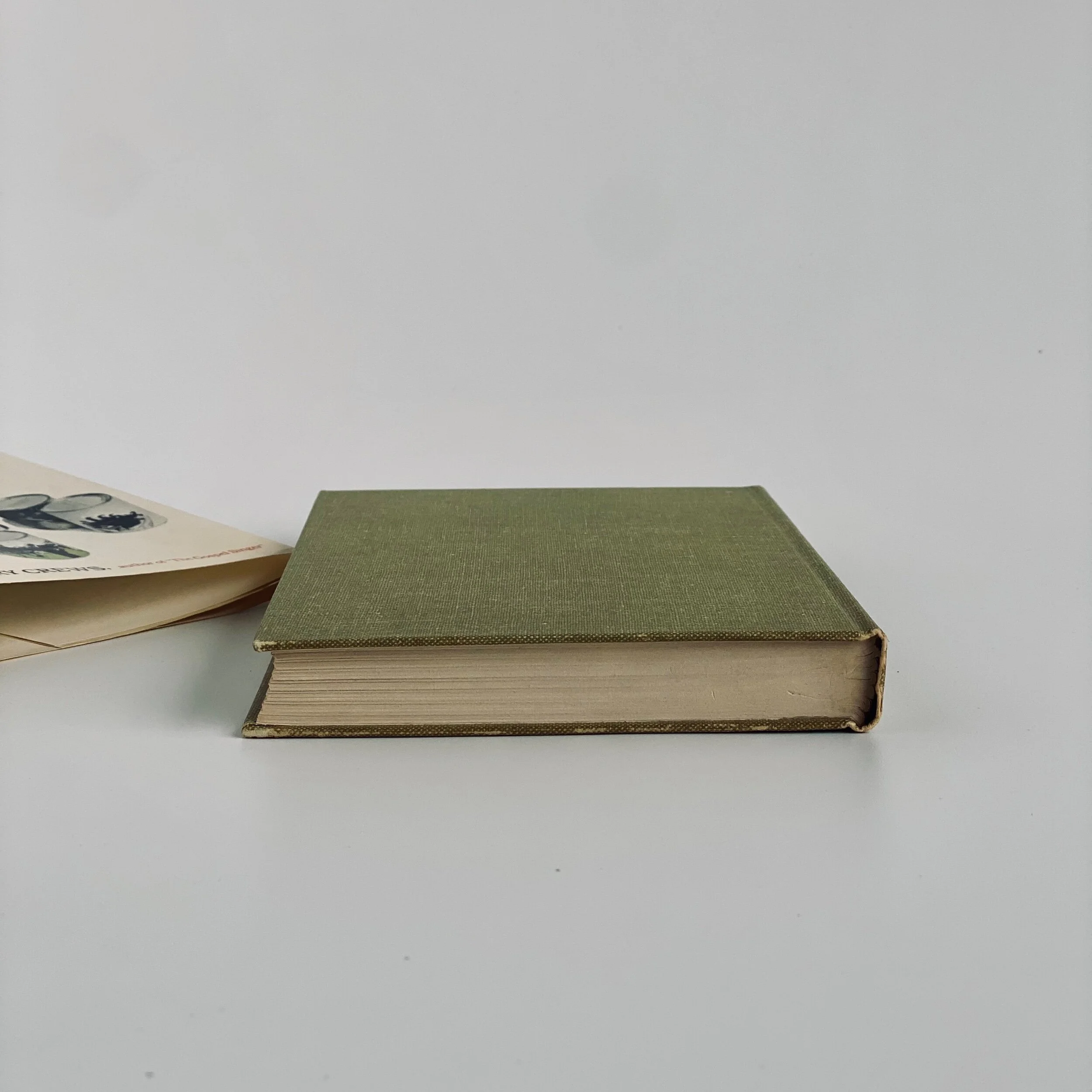 4B116F11-D6CD-40FB-9972-BFD805B455FE