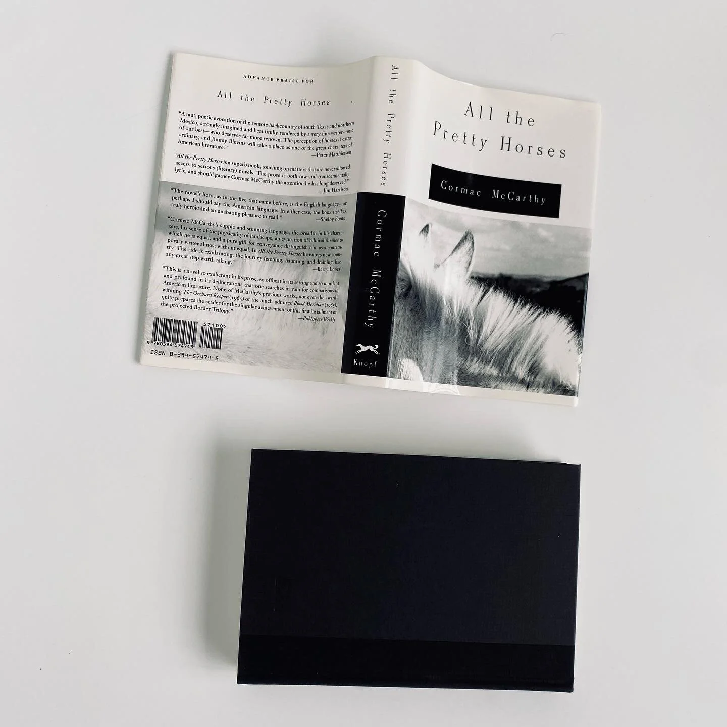 900CF754-D3E0-4956-8F6E-B1E6C9ECF65C