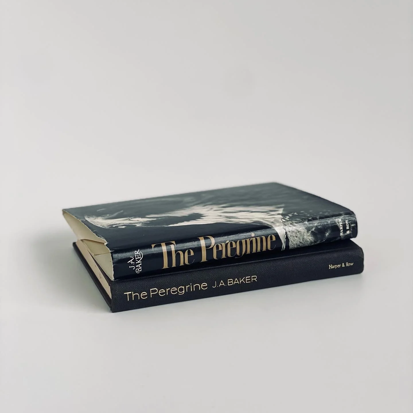 BF8D4927-3EC1-4B0D-8C63-555F9972B954