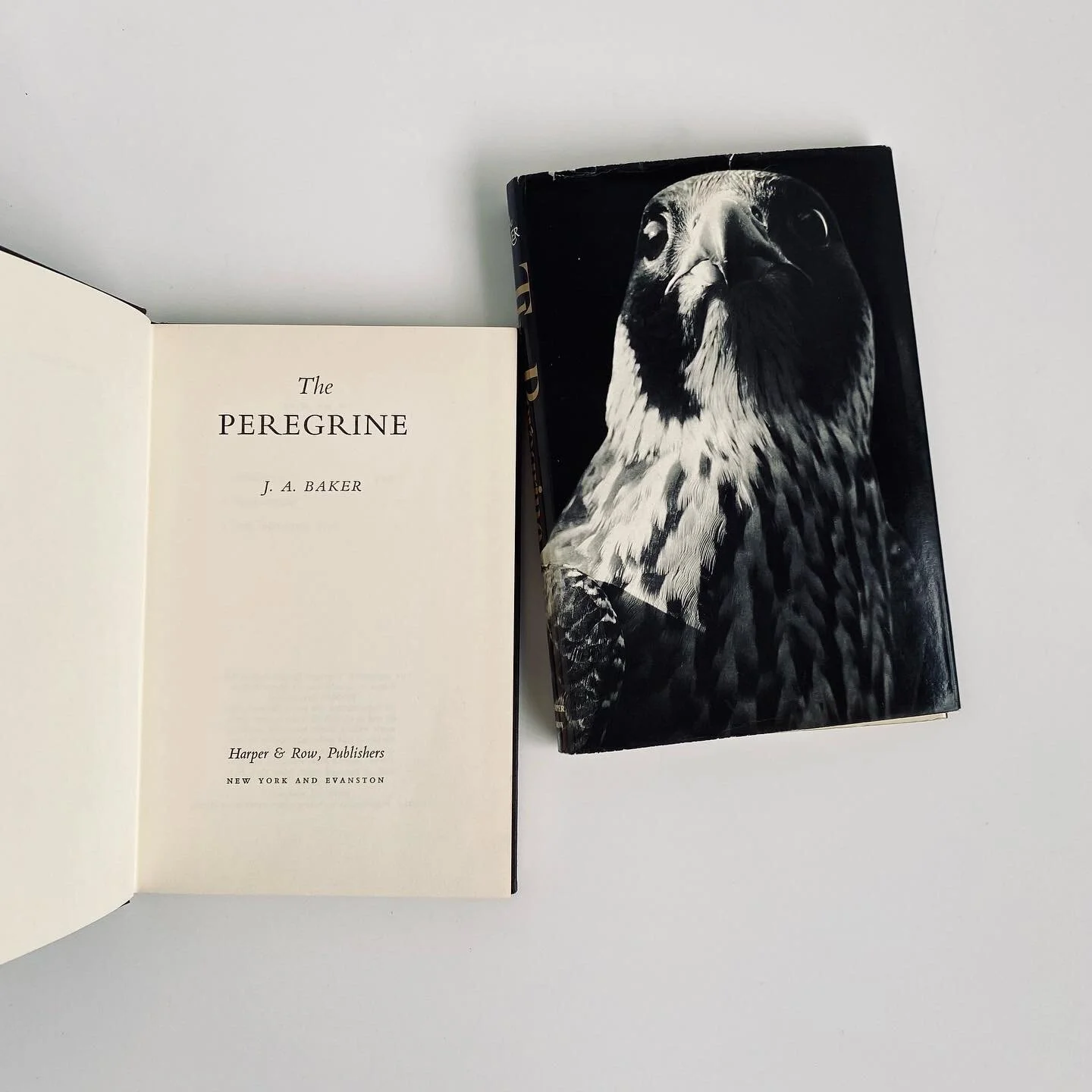 C53FA448-C332-4917-851B-20C59B9F730A