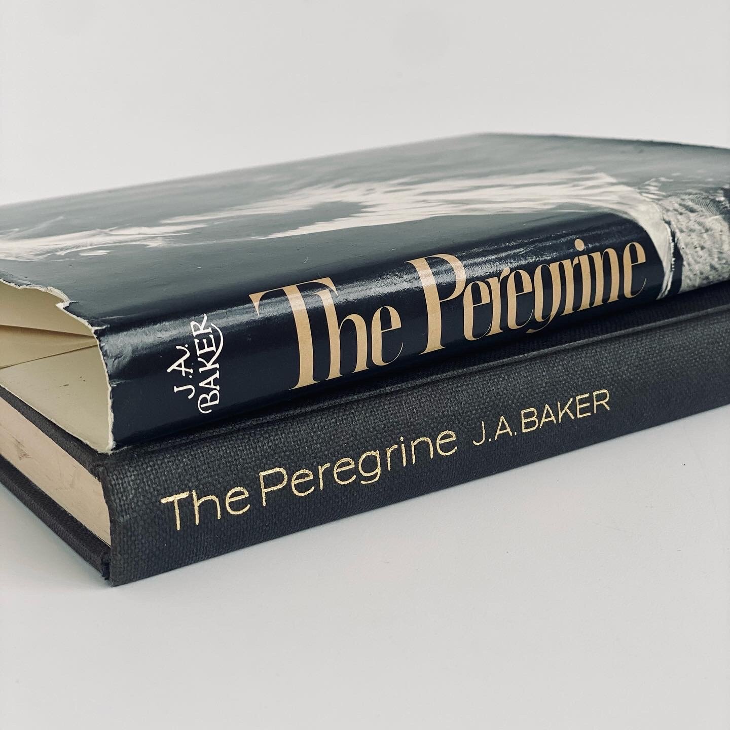 3E4F9C5D-08E5-4EBD-8343-37059F65BA04