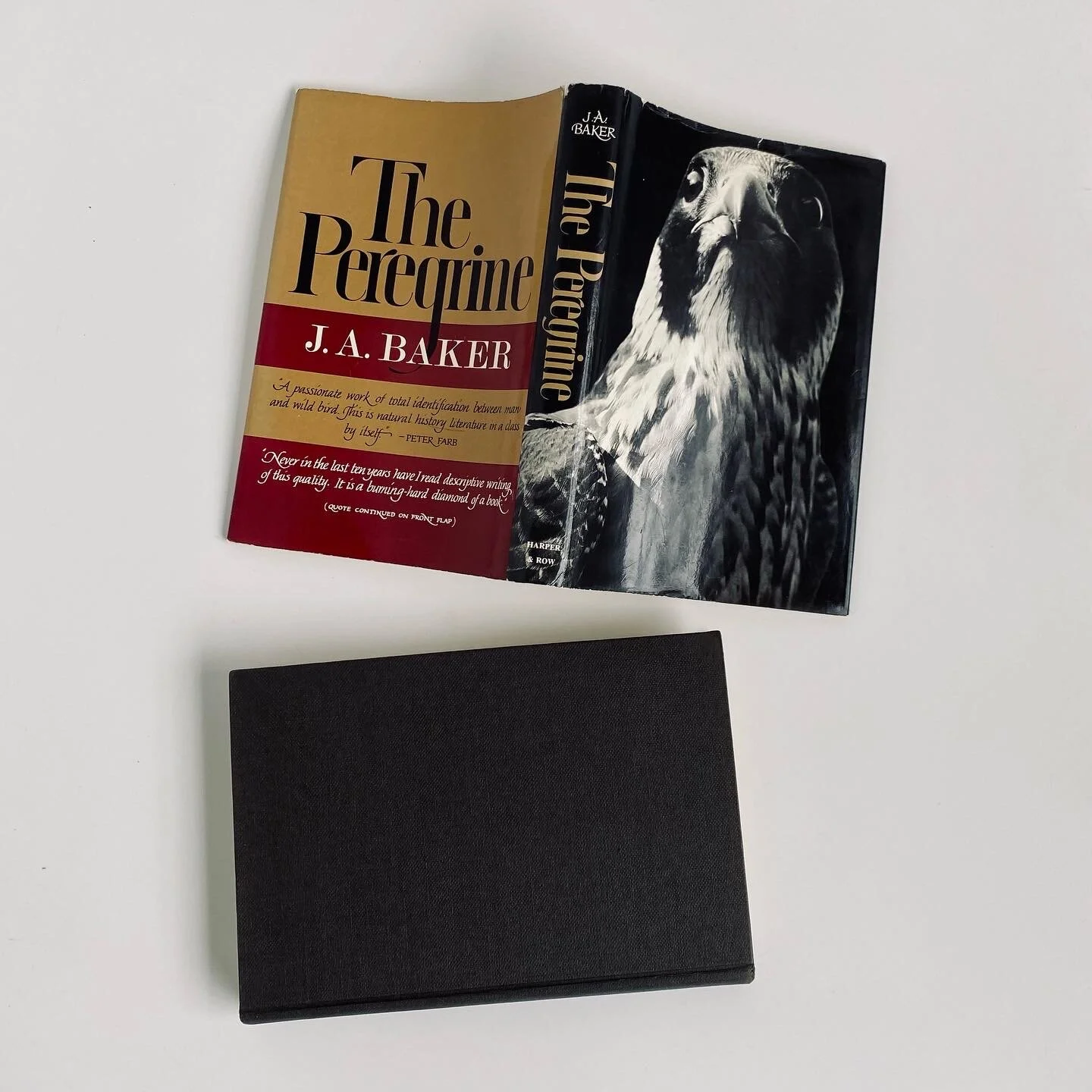 01E08109-4E07-404C-AFF6-37D31380369D