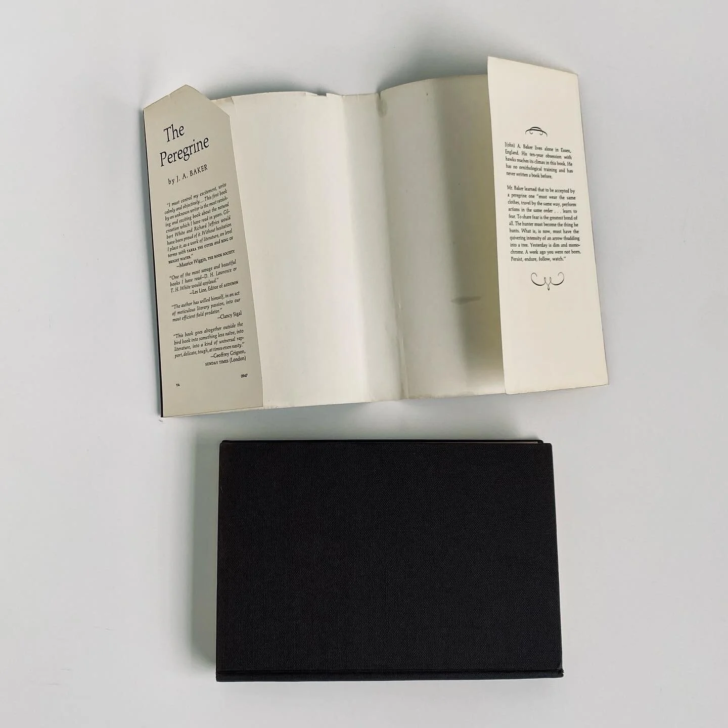 10DDD60F-8C8C-4FD9-8570-FEC09EE5E7BA