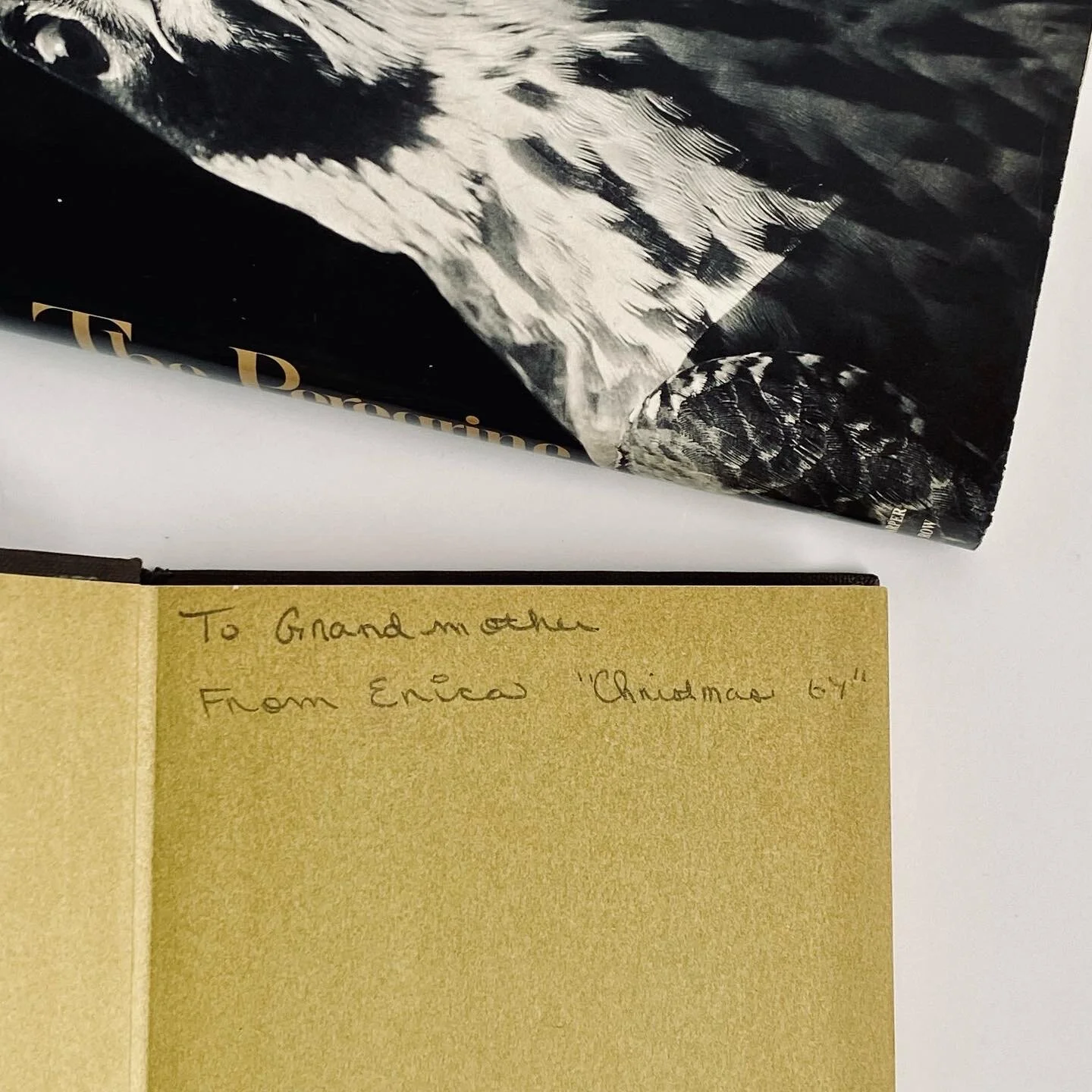 CBDC624D-04E6-4409-A822-574C83E2C2BC