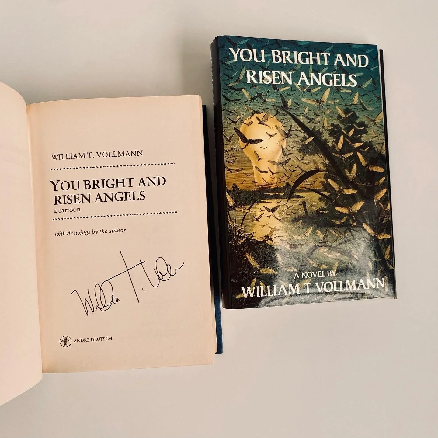 954D07B4-FE35-4F85-93A8-5736A2A6F3B7