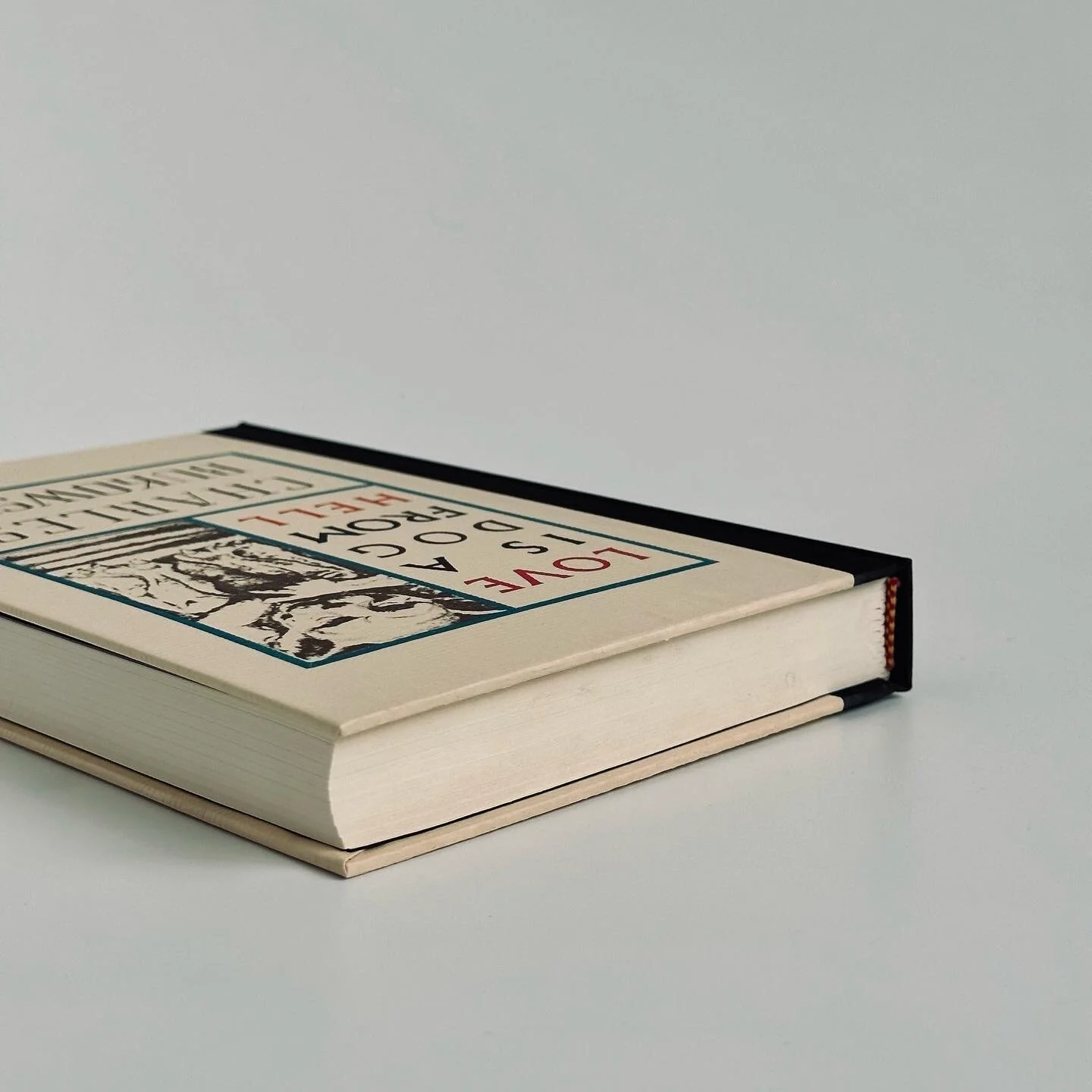 B8A943A0-3286-4252-AD9A-368D4CCE32BB