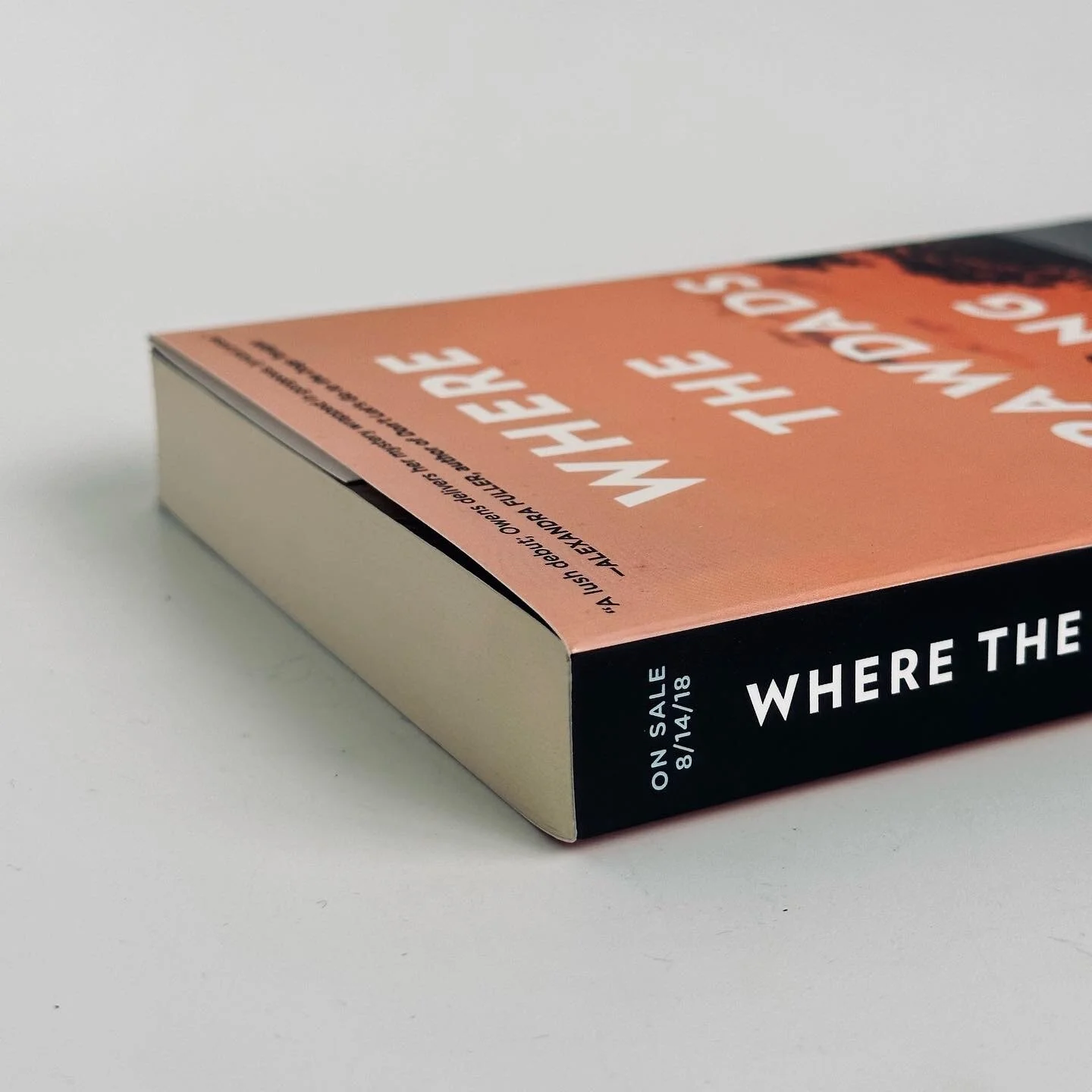 B0DA171E-1A29-4D13-981A-6BBA2D3EF741