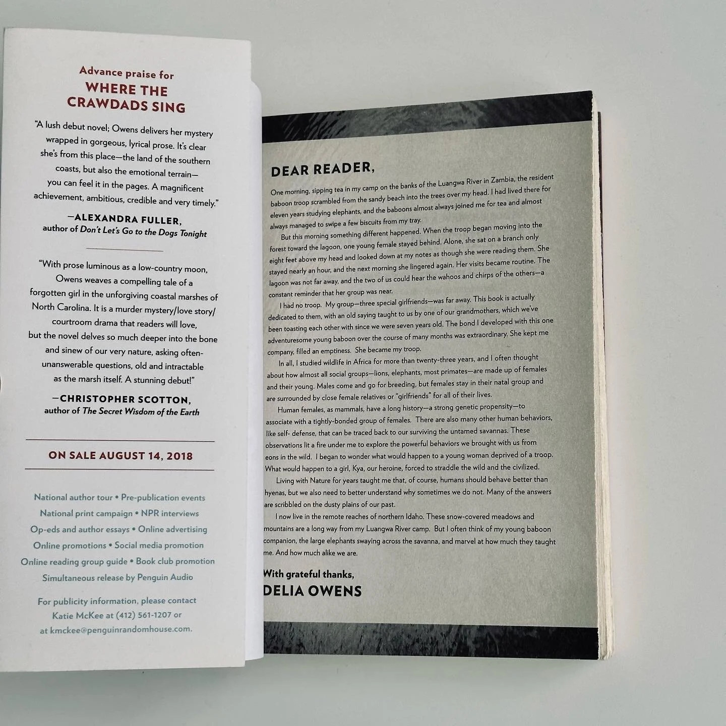 BFE04649-A614-41C6-8CD6-AA9041BC57AE