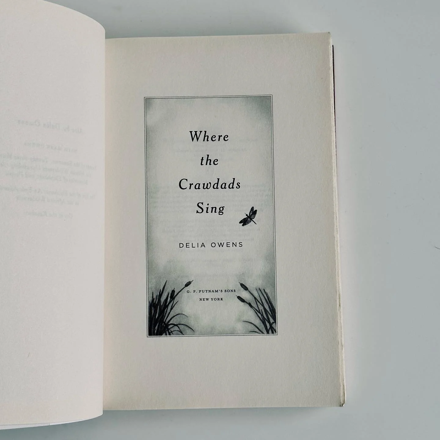 5EAAF4C8-8524-4AEF-8DAE-04A10460505A