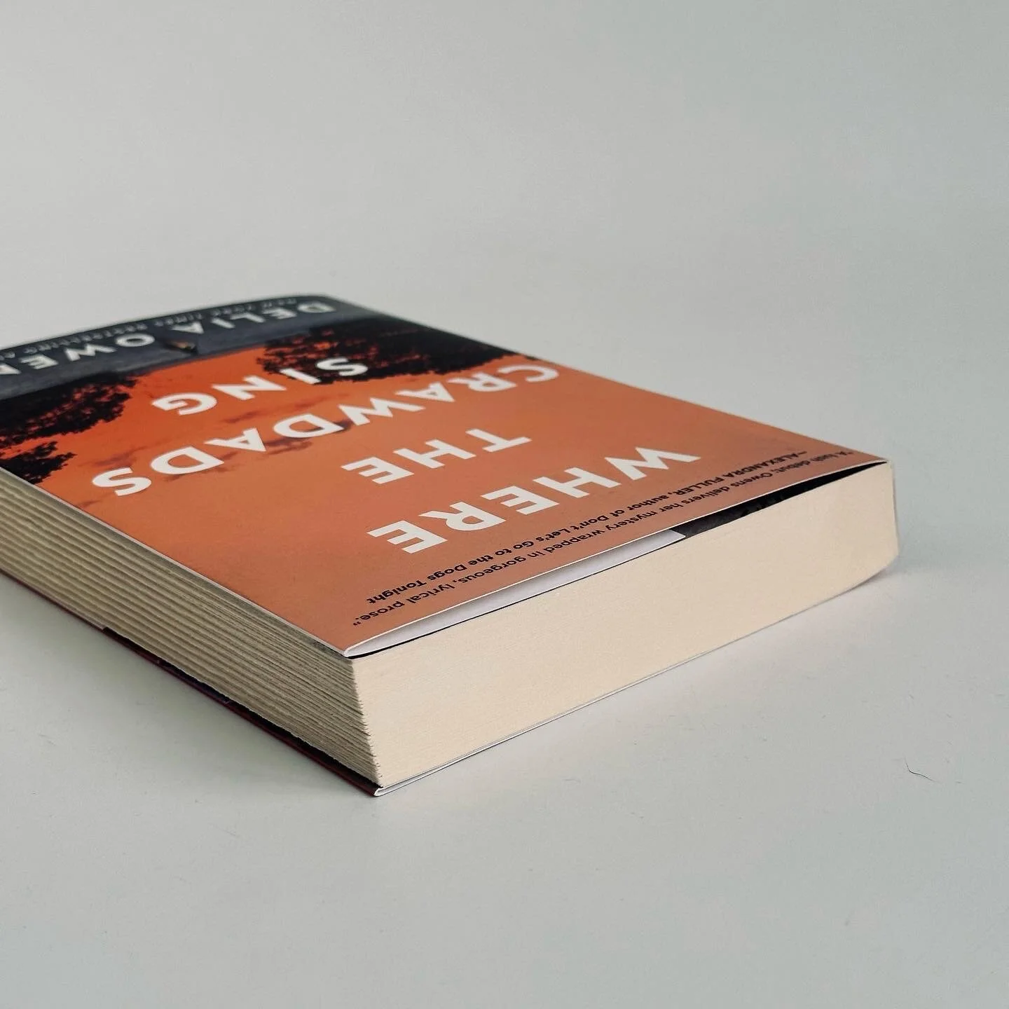 B54326C1-71DB-4FAA-B1F9-C238AB3E5006