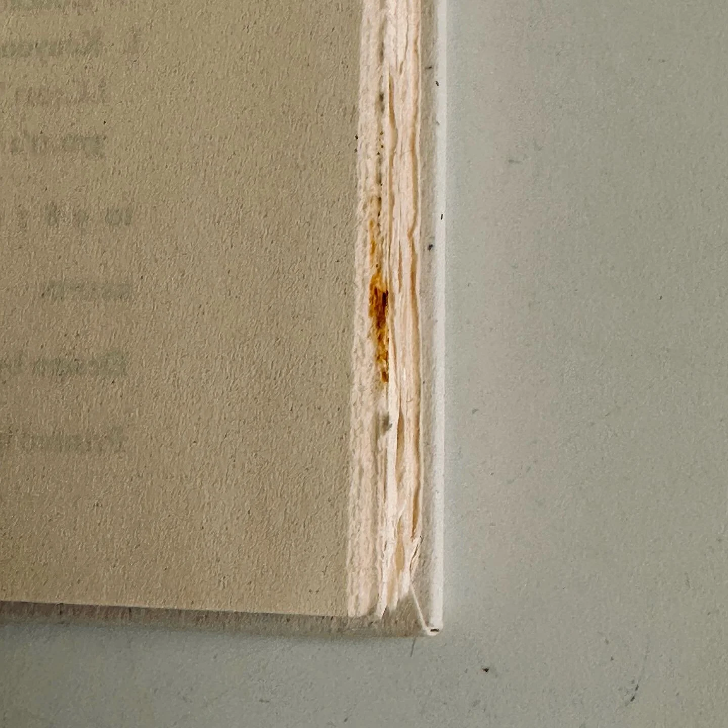 63E27388-B3B3-4BD4-85D0-269D25B071D3