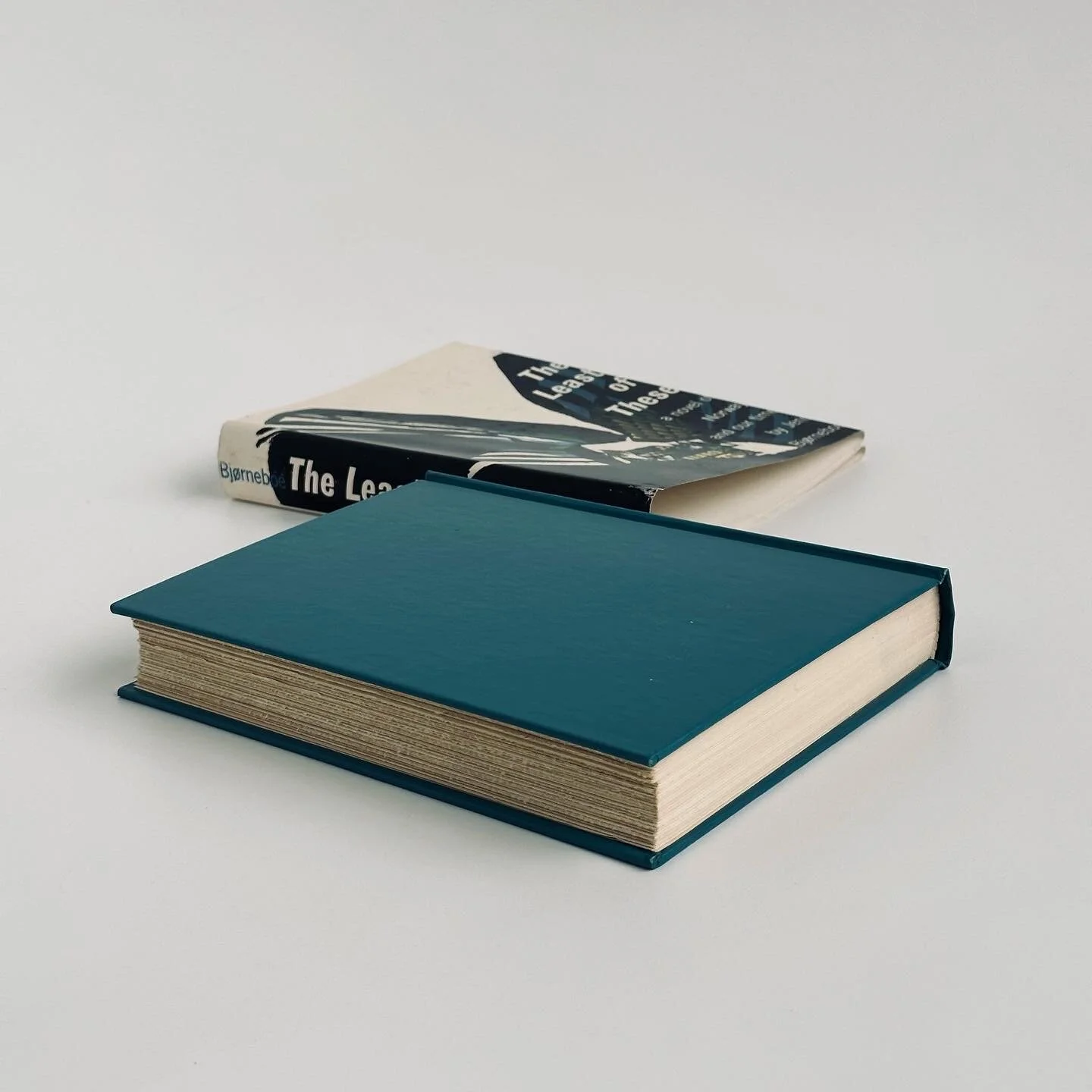 AF1B54F0-02F7-485E-8FB7-DD5BE4E7394D