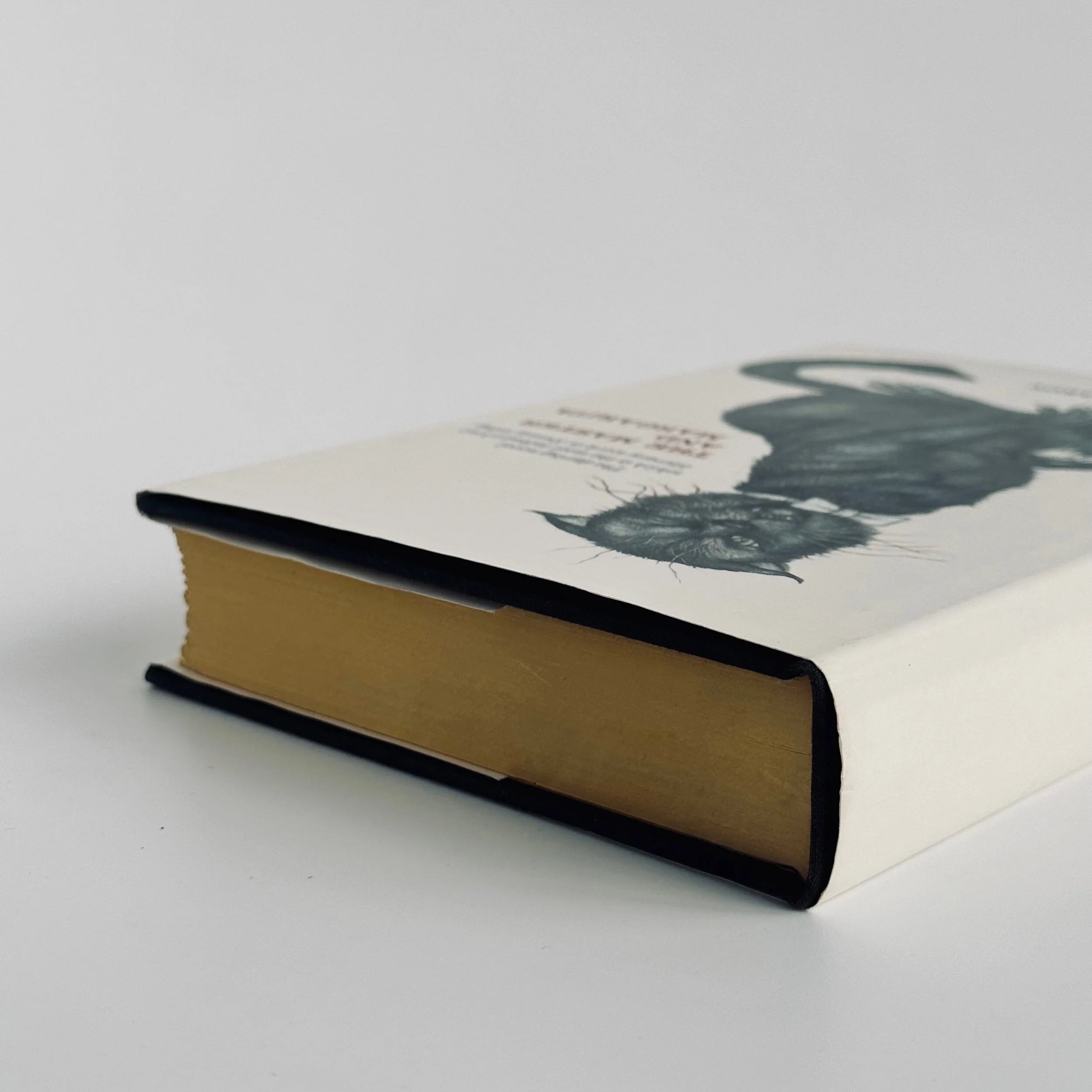 F918DC2A-A0E9-4E5A-8EB2-2BF74B7E8502