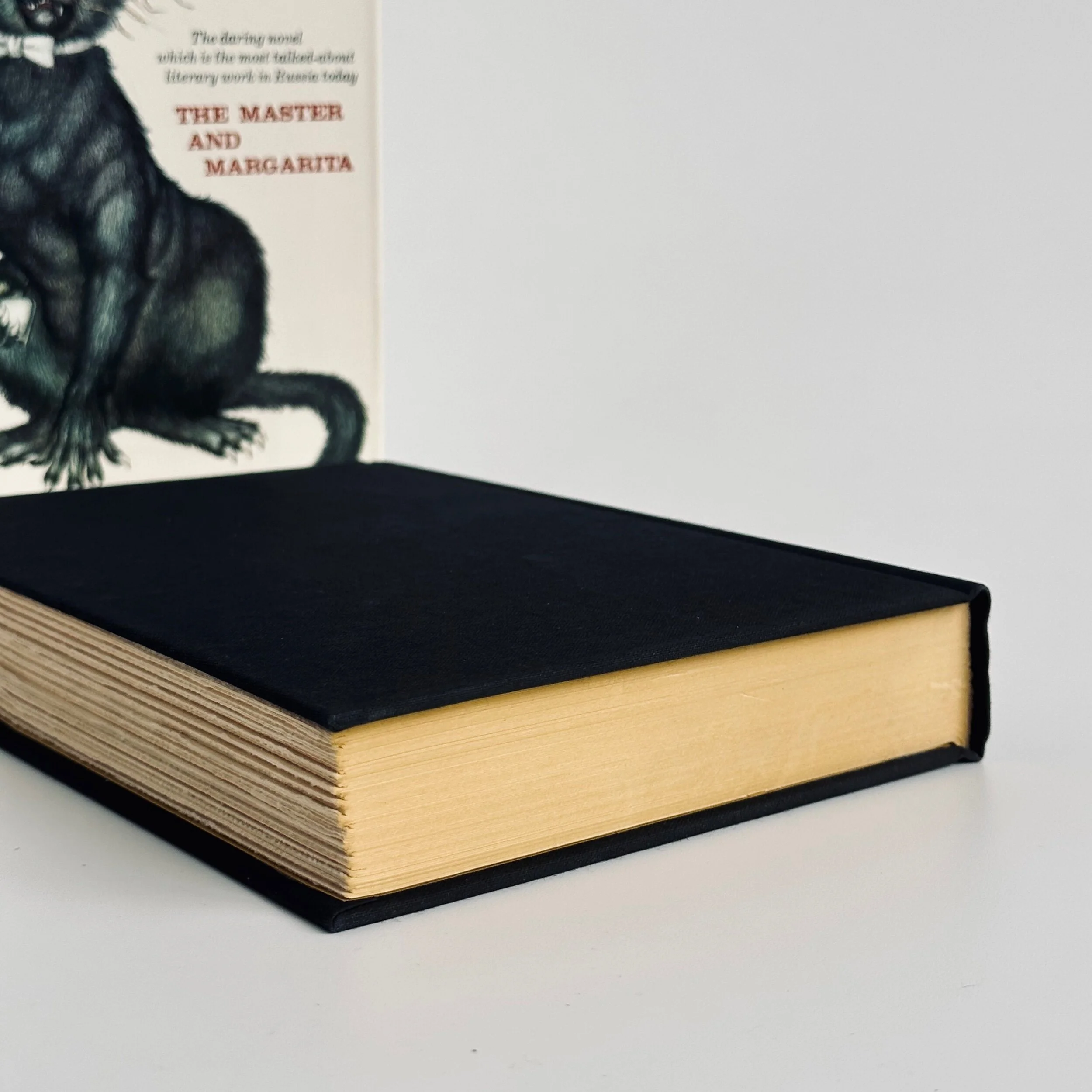 567F532D-D9A7-4A1A-8598-118F4FFA338B