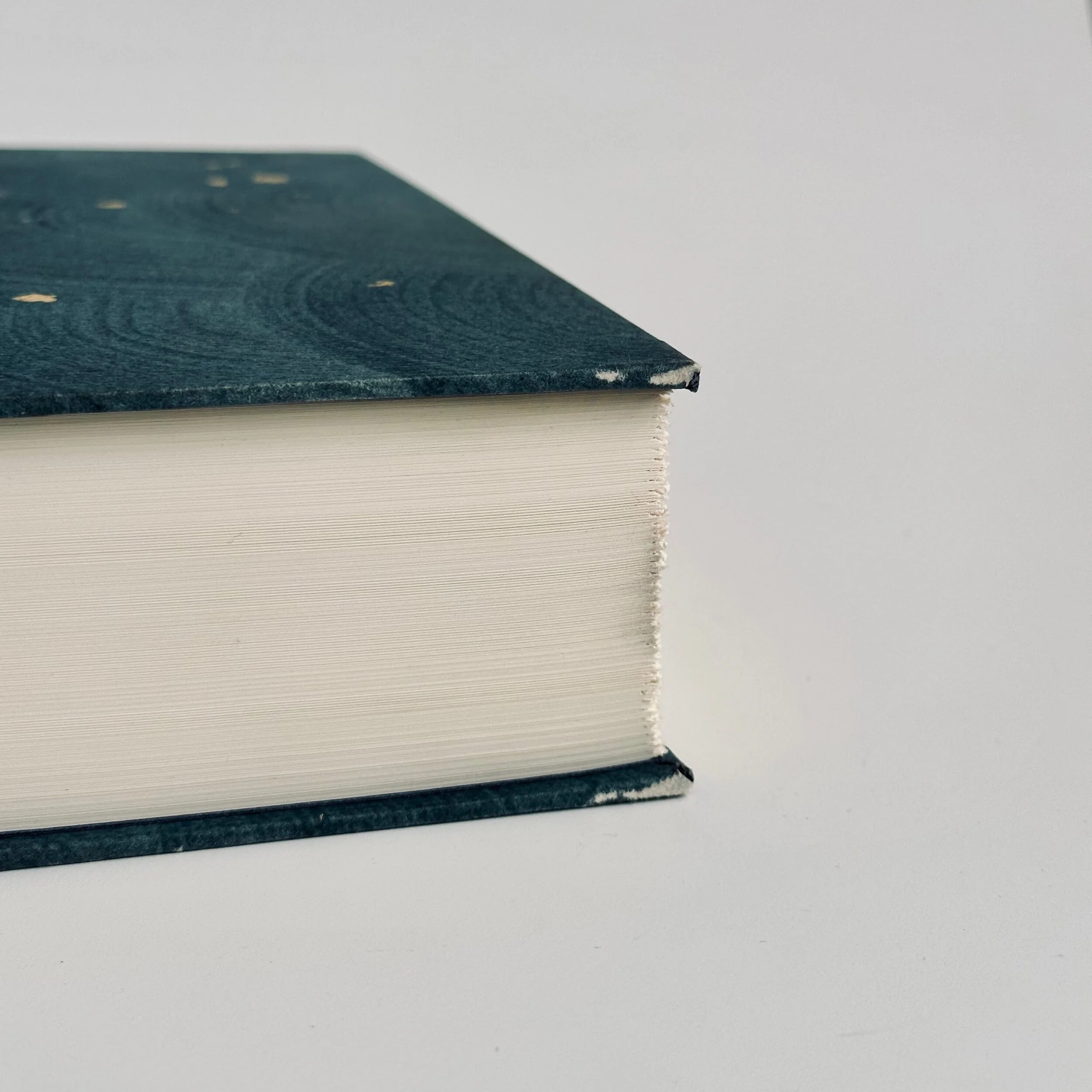 E54B4225-9CB6-4739-9DAA-9AAB4FA789BC