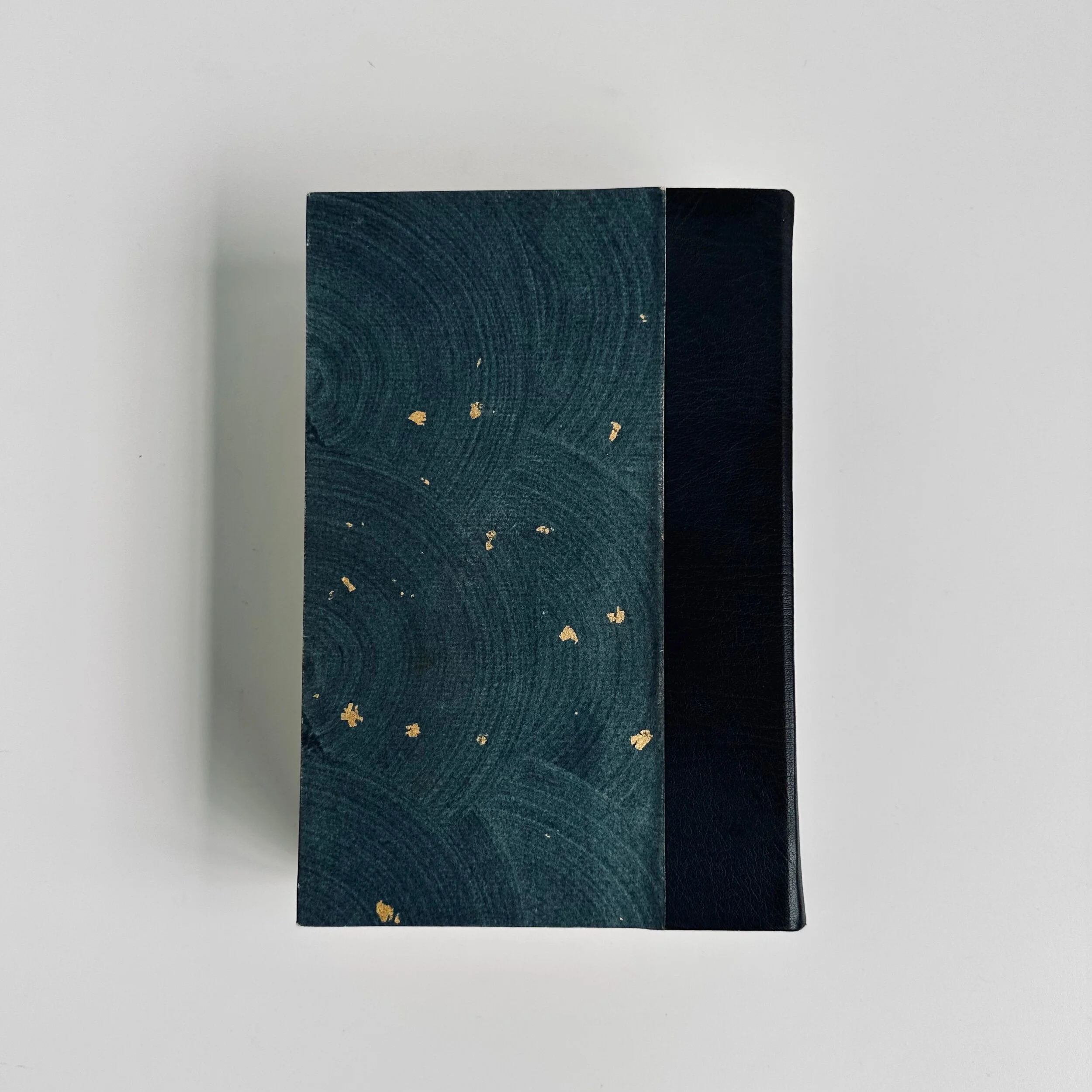 E54B379D-D2B6-43CE-92FD-3663816B9AD1