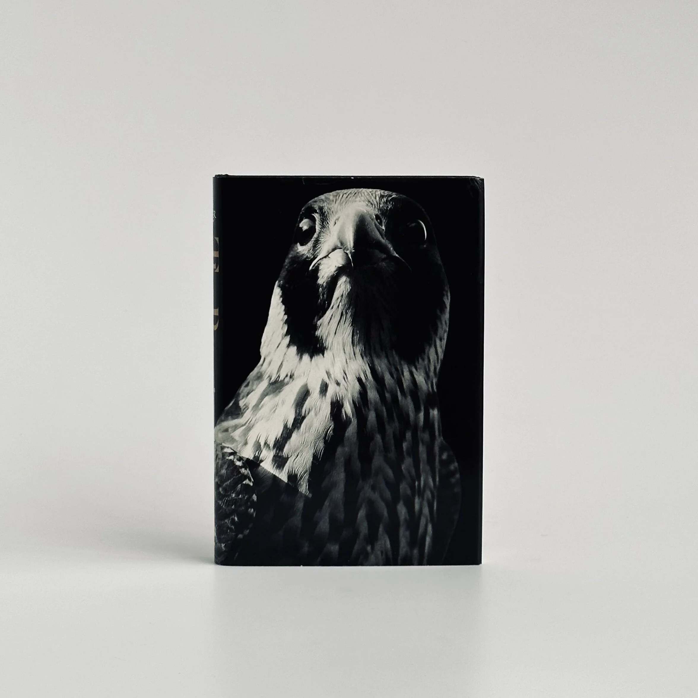 92EB4208-60F0-4CB5-879F-E5F1B39AAABA