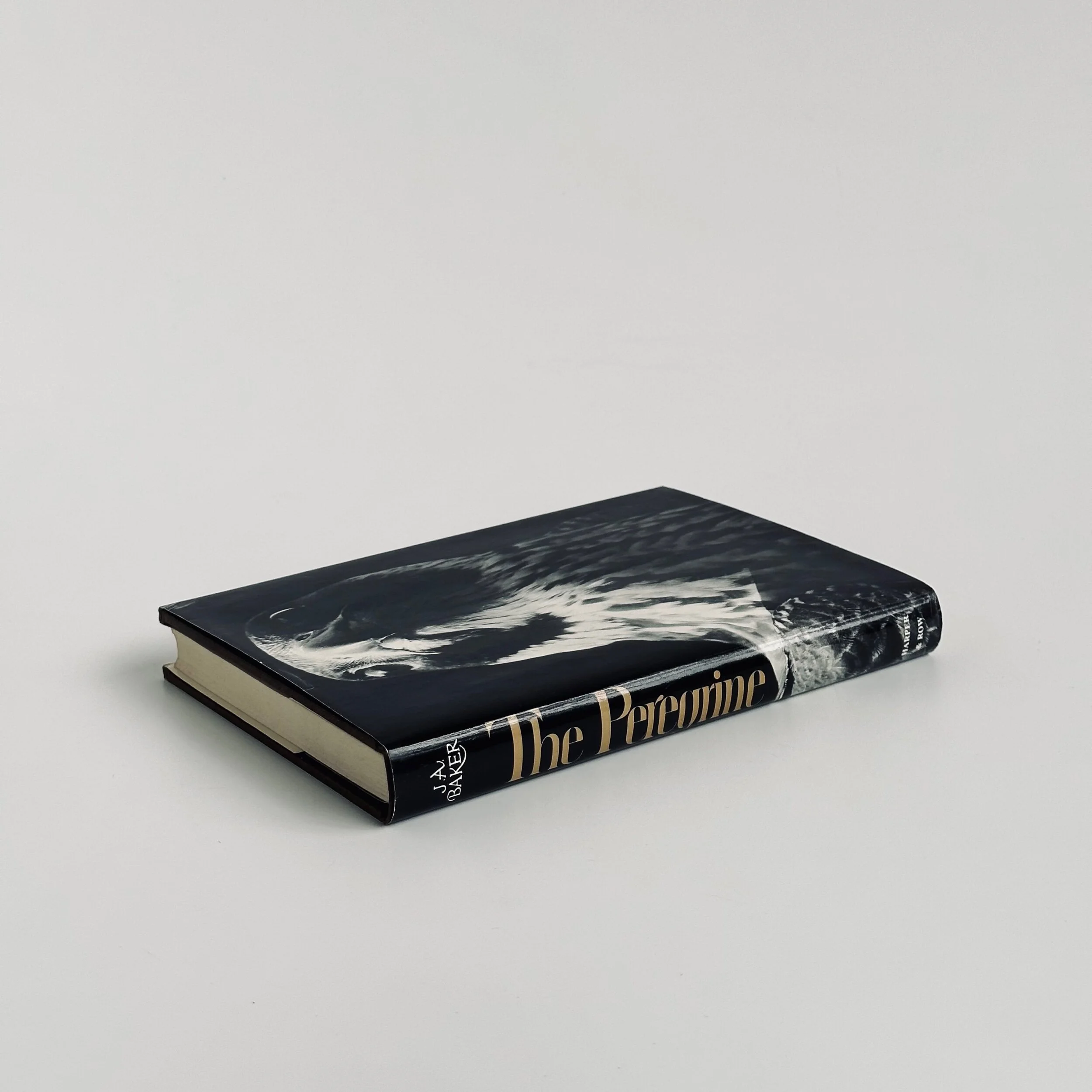 18BD8C86-5325-46CE-A0DA-D19F03DDB114