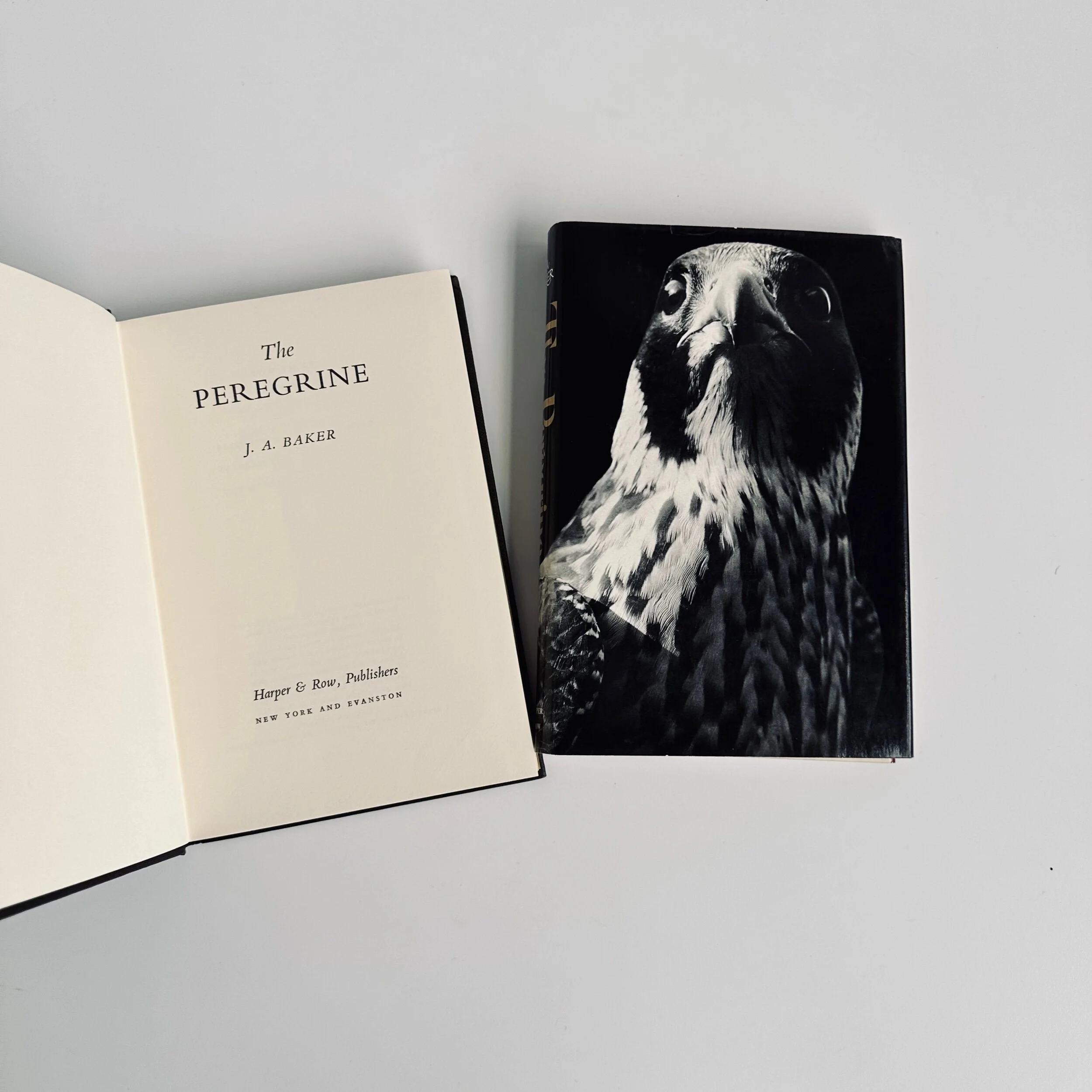 7C2DA652-955A-46E4-9E5C-019B954E1525