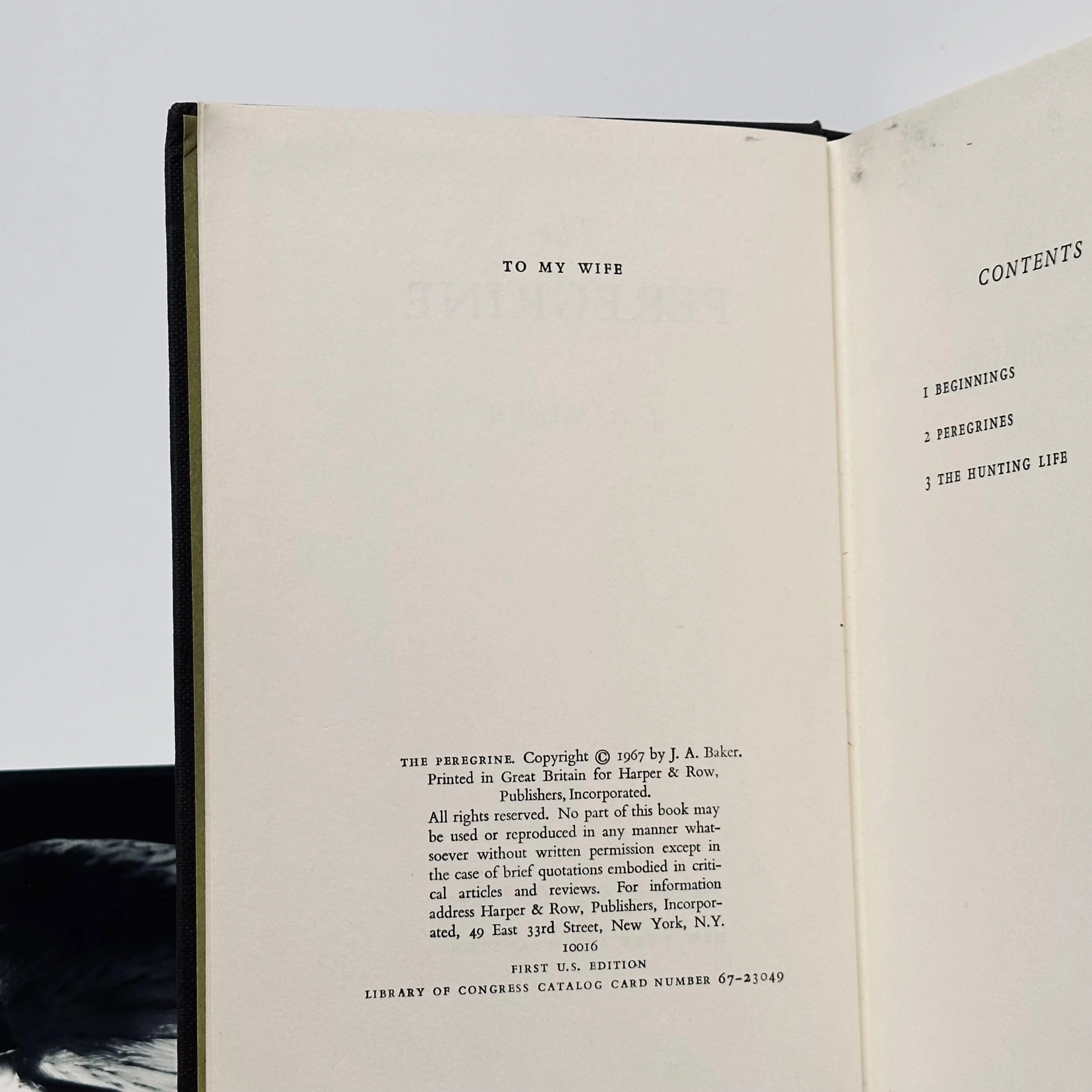 C62F32D0-A66C-43DF-8989-C4F123A3534D