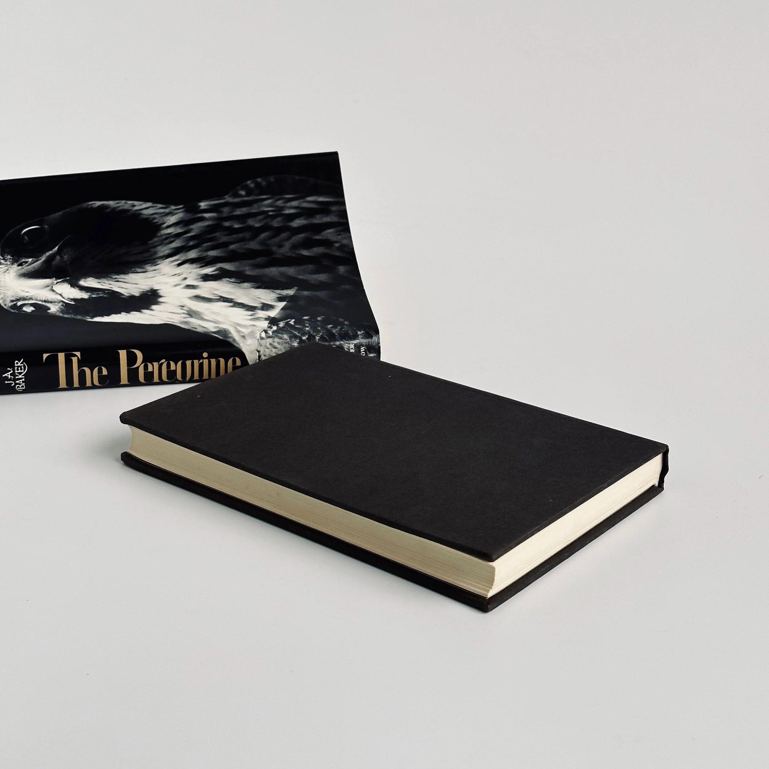 5D010411-2B2A-4AB2-9CEC-4A1947D6CA90