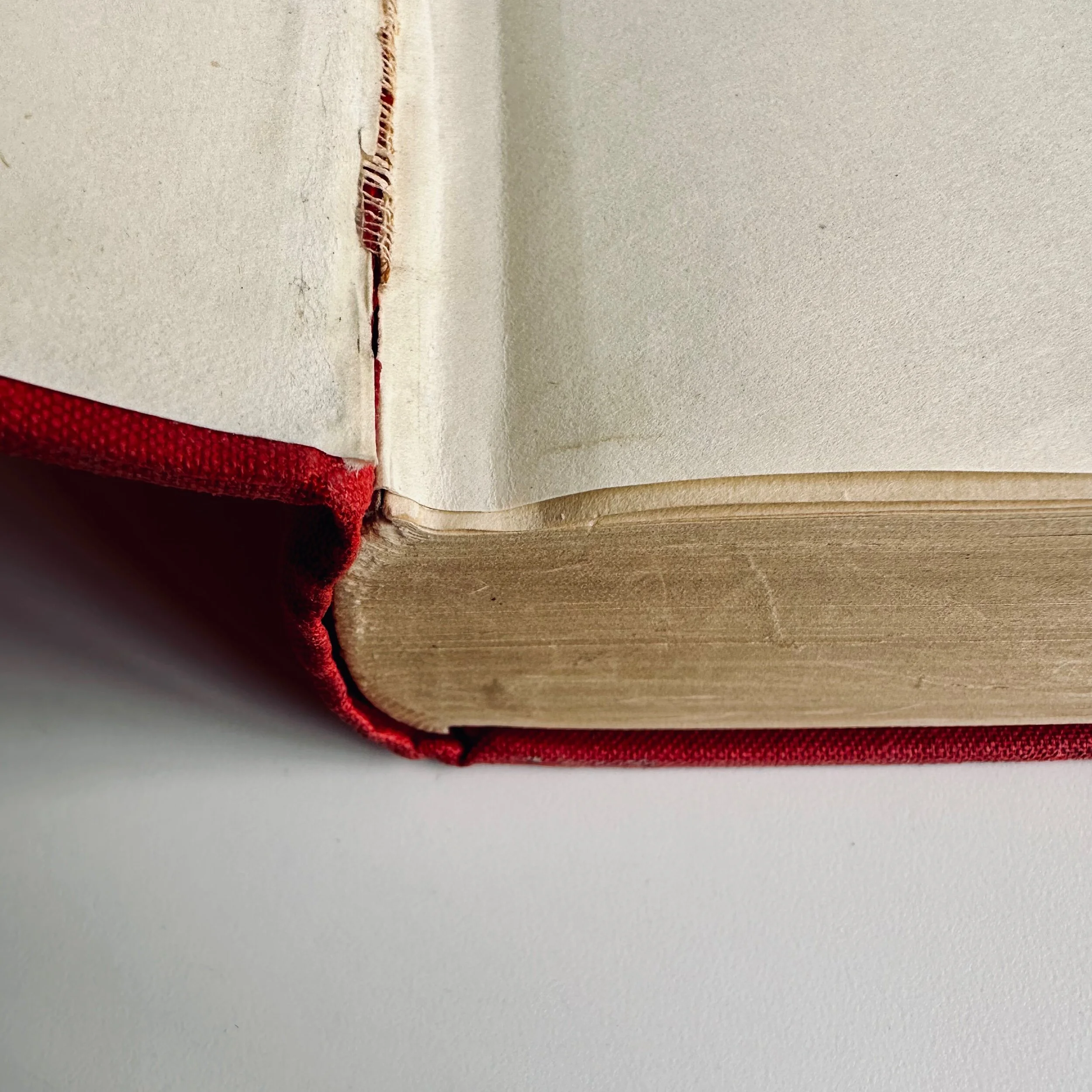 807F6B57-4DCD-4206-825D-D017BEFDC1EC