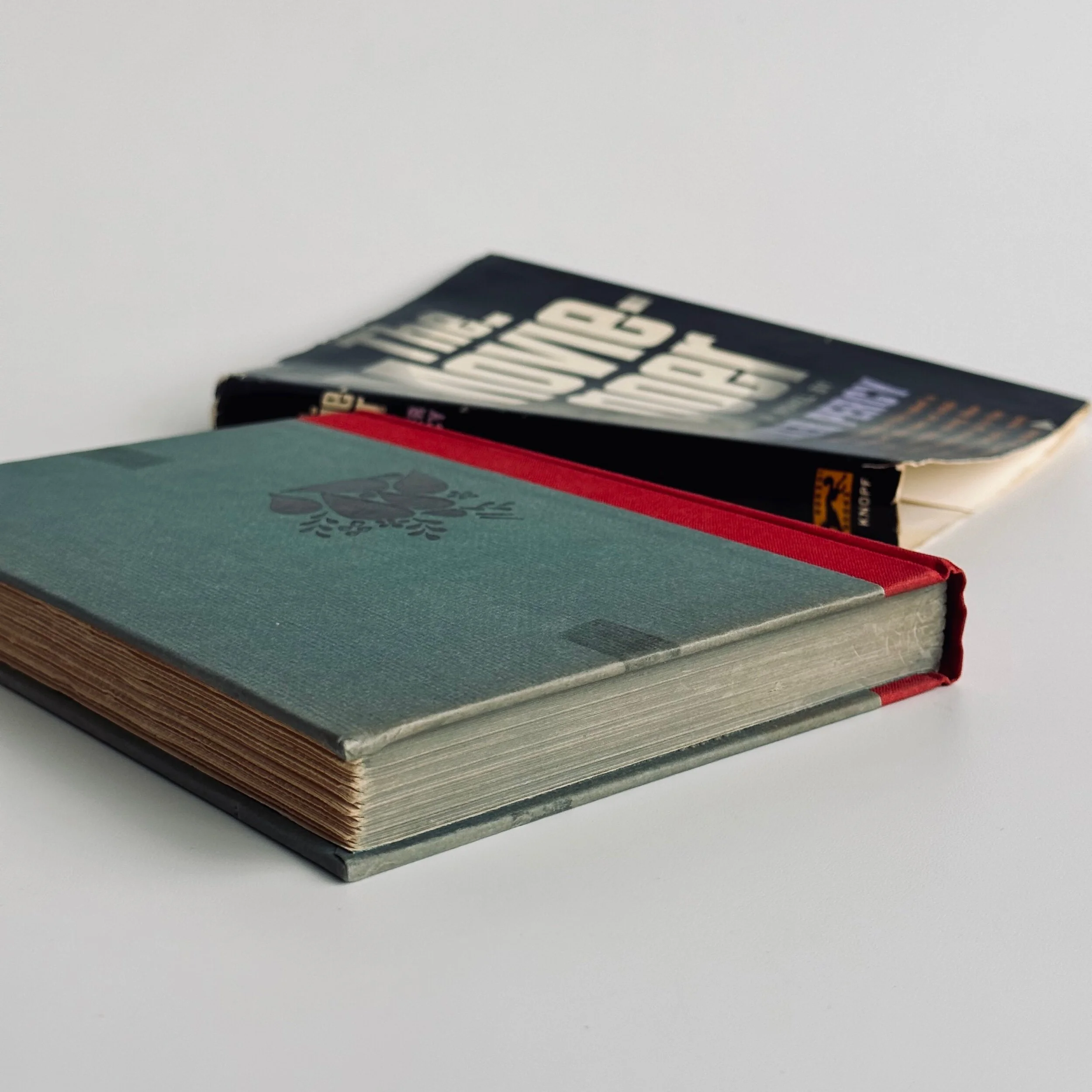 155E16C0-C963-4FB6-8CCE-A7B743A5FBD4