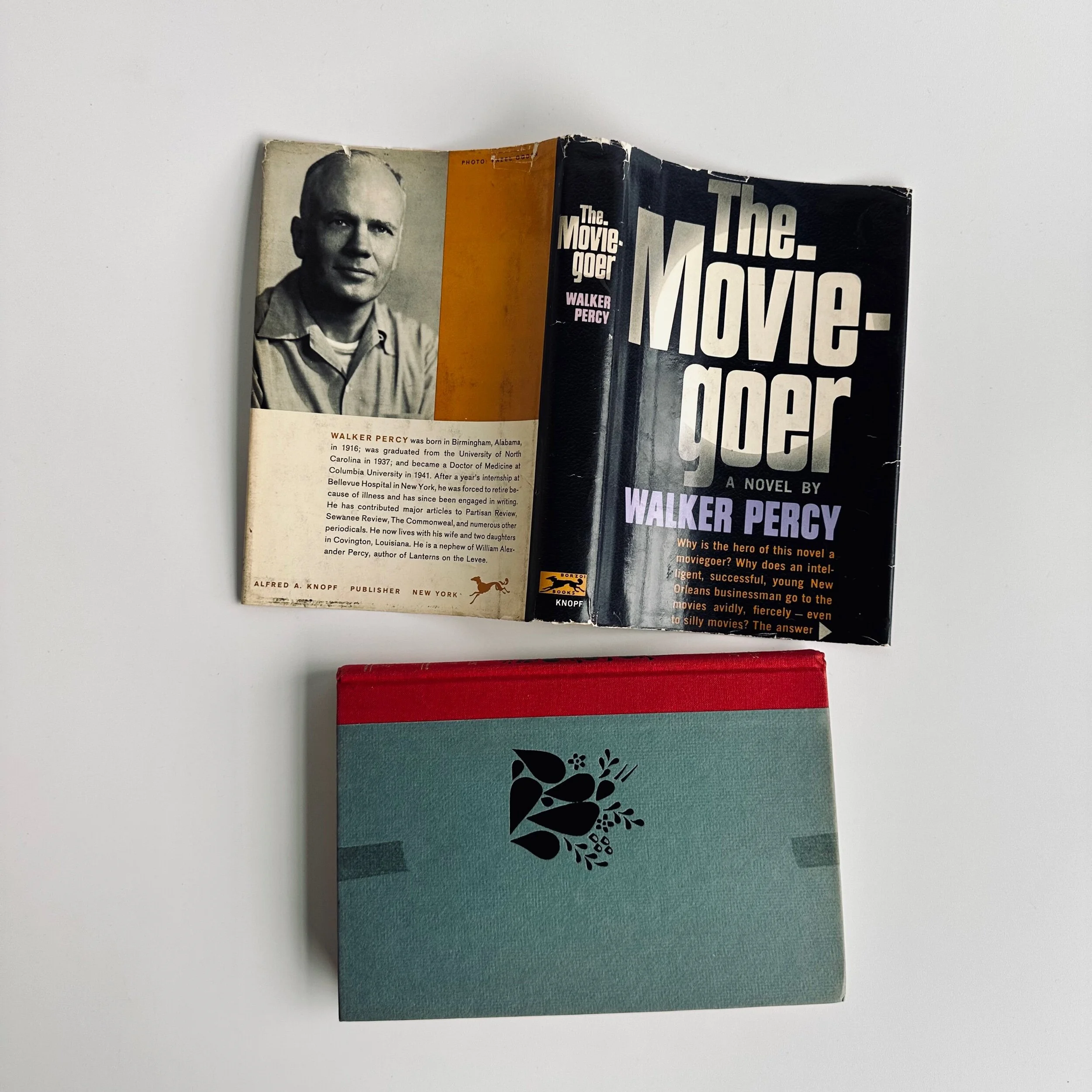 523B9100-C13E-455B-85D9-0AED9AA5C8A2