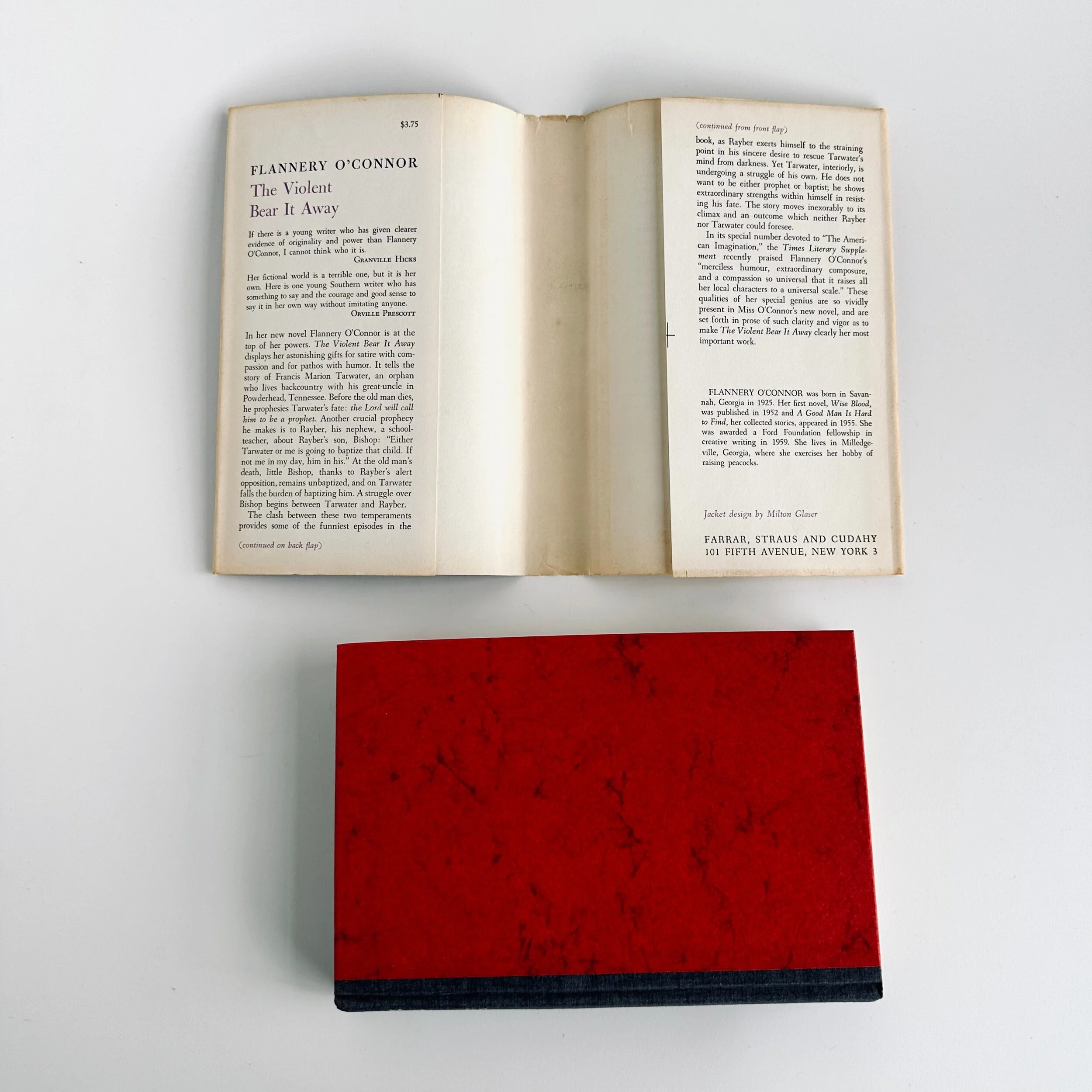 8F10A1F4-EB74-4FE3-A7A0-C5B14168563C