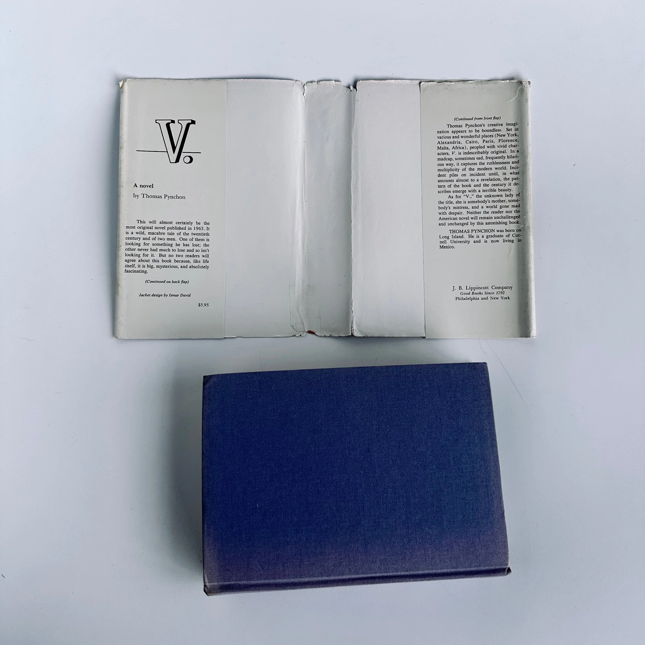 C44BC615-E43C-47D2-9D56-939297DA2F38