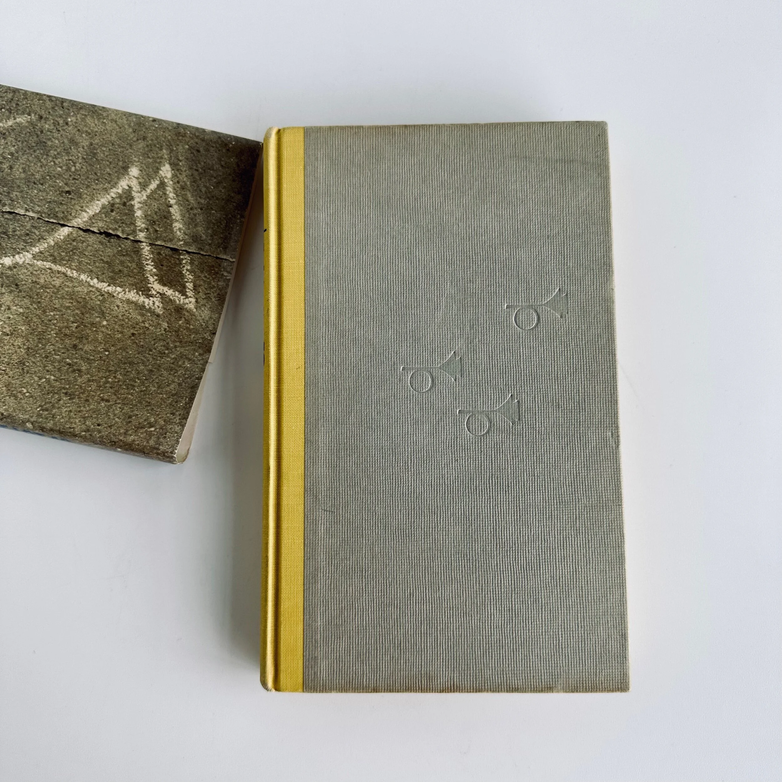 3F5D57C6-0BF0-4EC3-9FCC-742E7F36F2BA