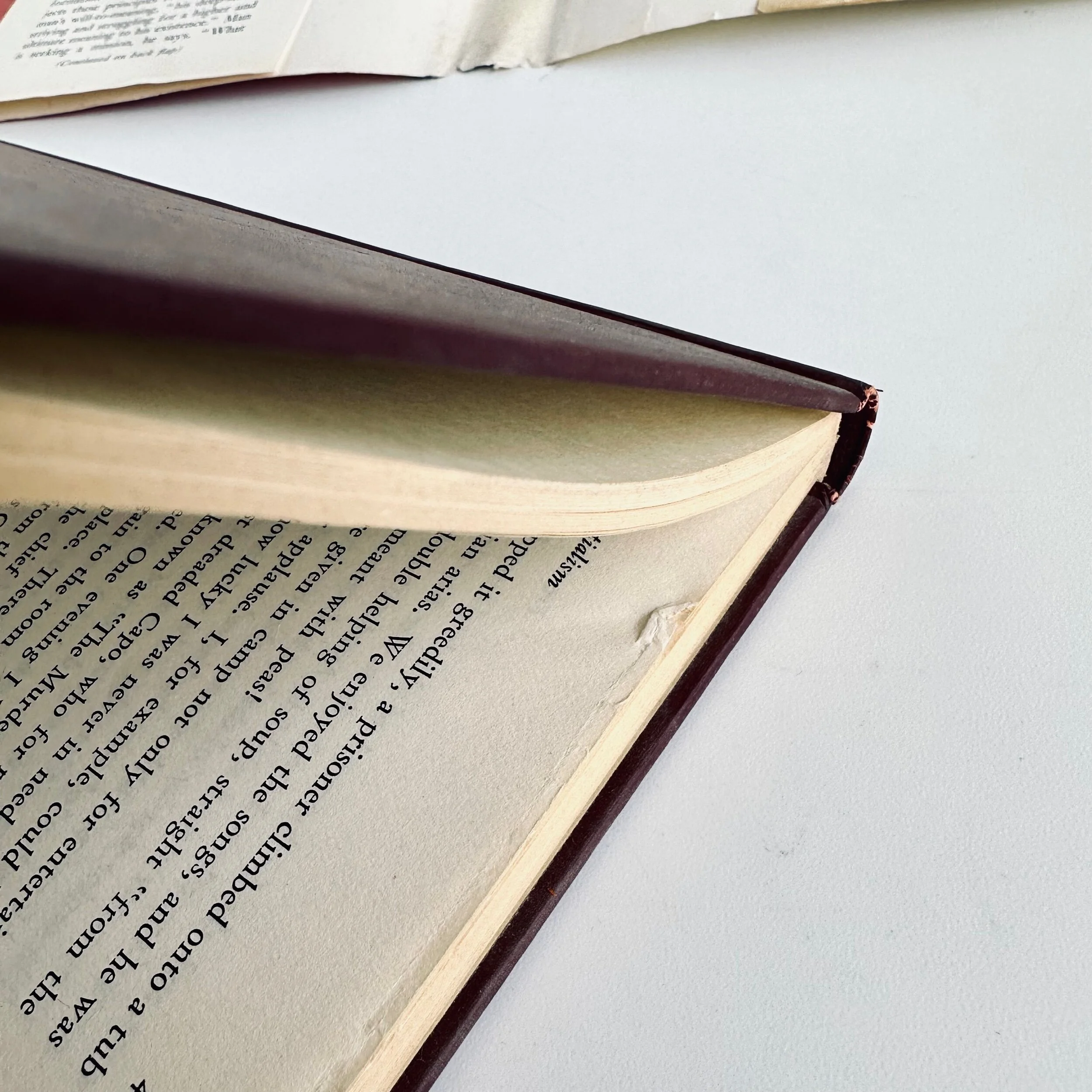 B42E7A6C-E69E-43FC-B0BB-00F3A7CE53E4