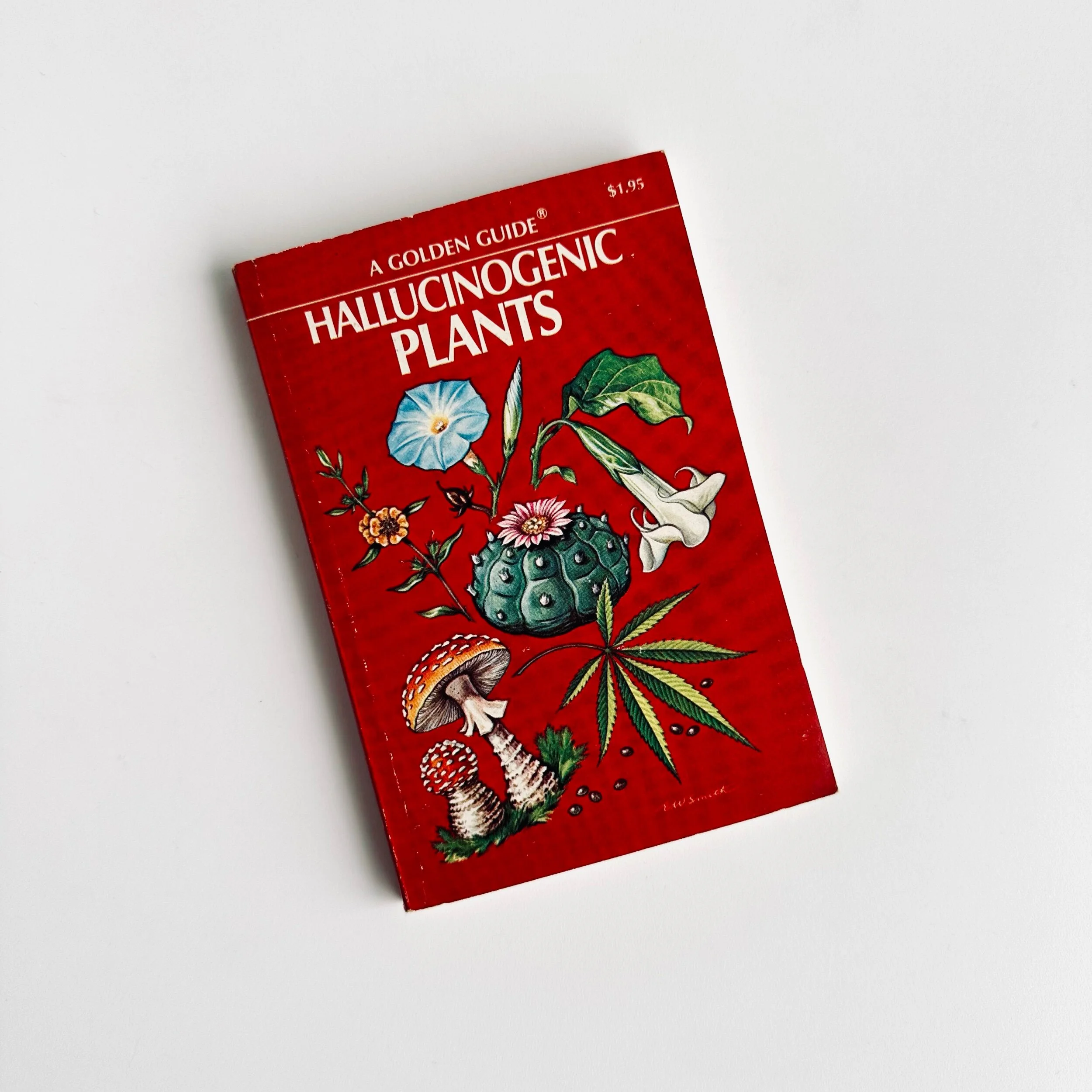 6130D9BD-EE9D-493B-B78B-344314C08DFE