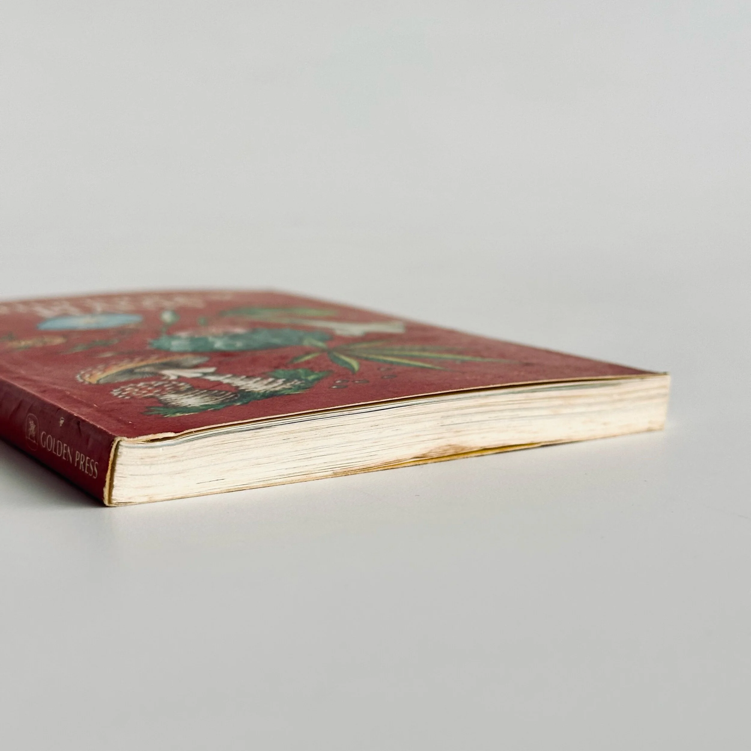 C71BB0A9-7FA9-4706-BE3B-64065B024657