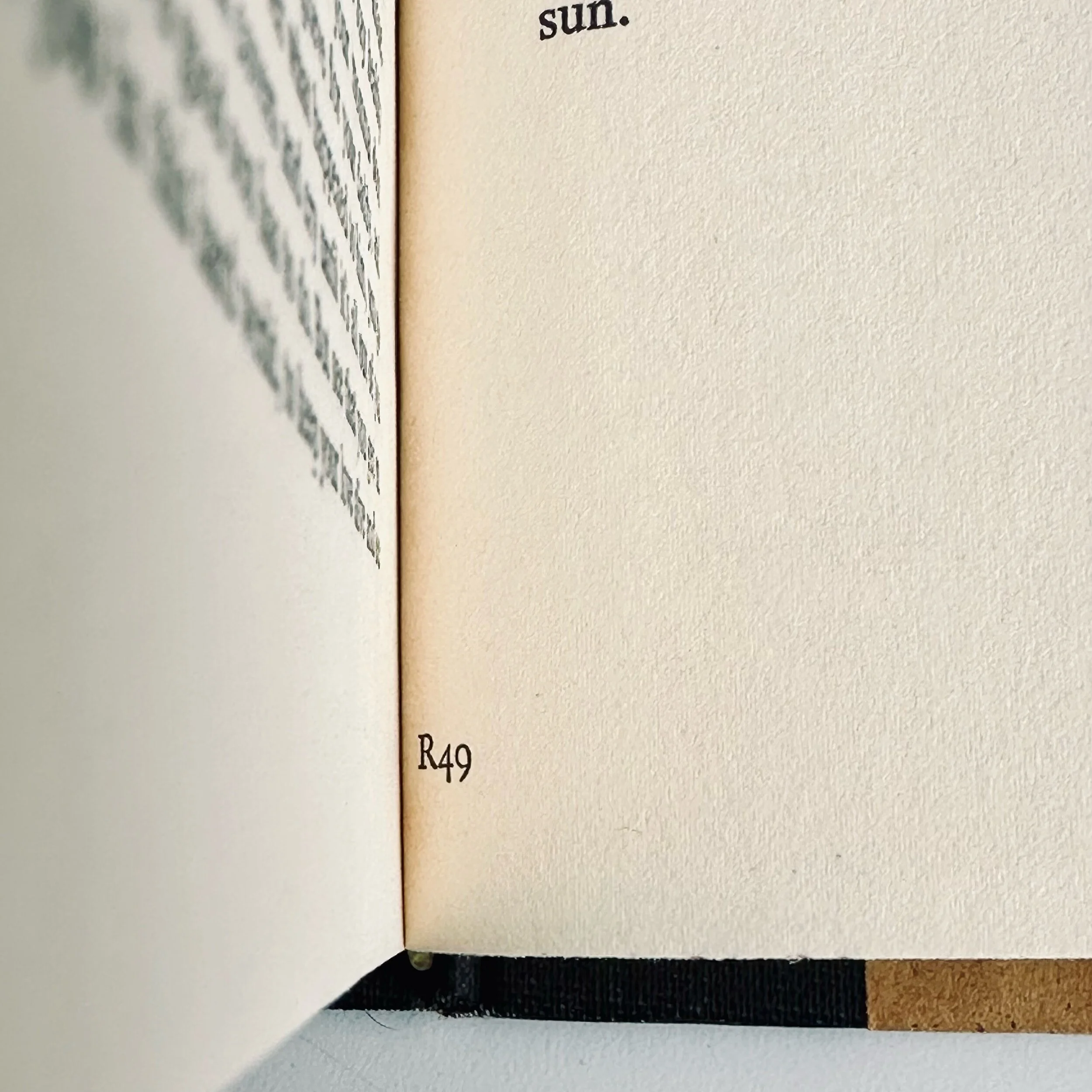 028735A4-3F19-487F-89EF-7786DFBB7D92