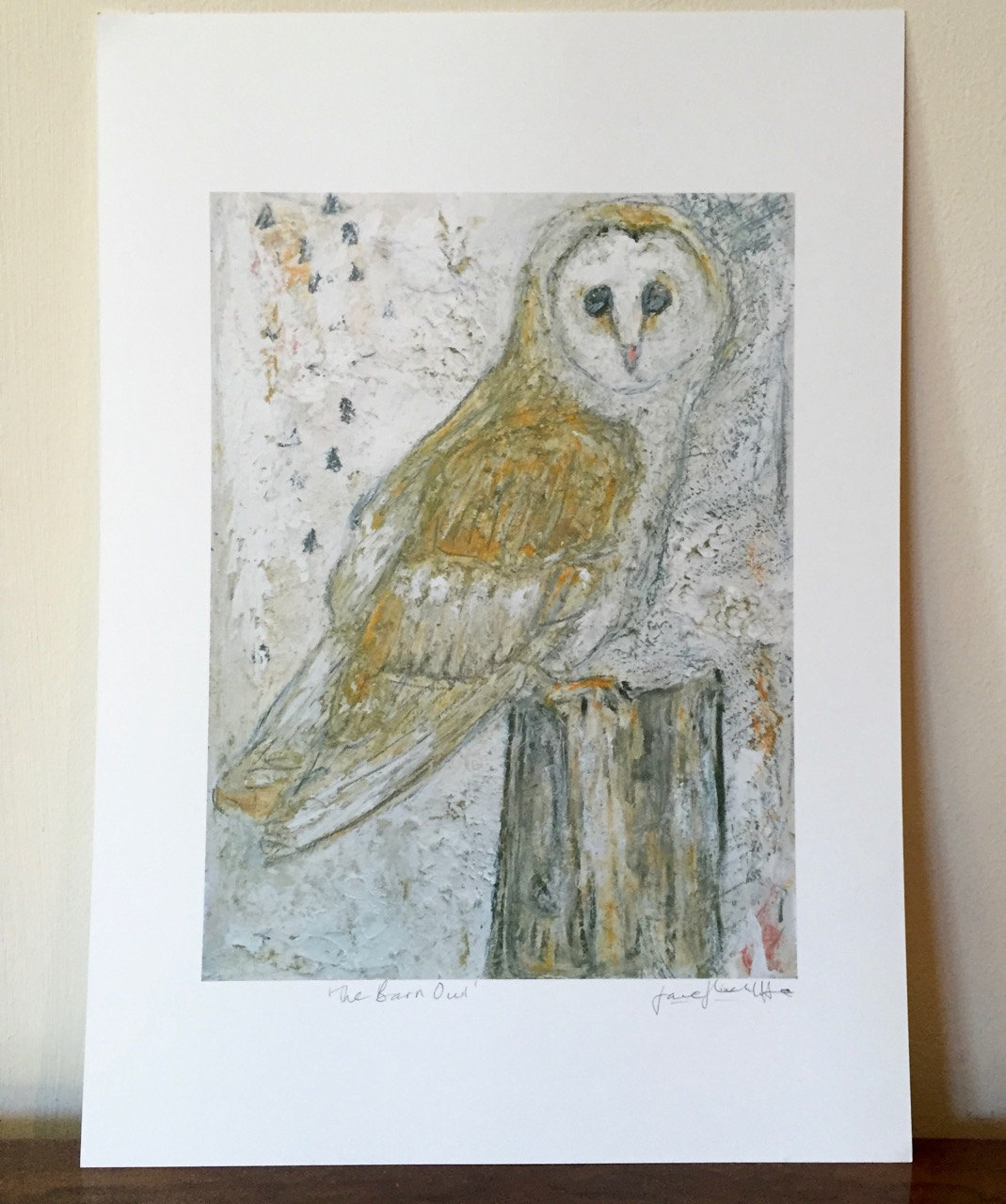 Outlook Ondartet tumor span The Barn Owl - A4 Fine Art Print - UK artist, owl, barn owl, nature, birds,  wall art, framed art - Jane Hinchliffe