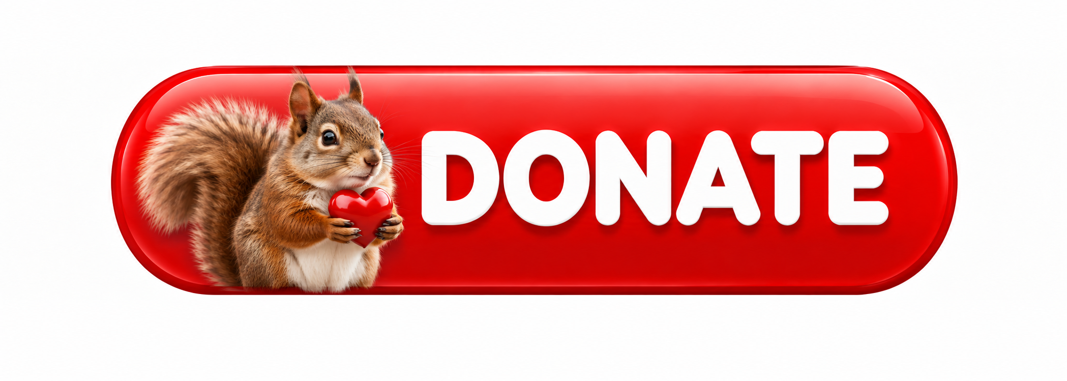 Donate Button.png