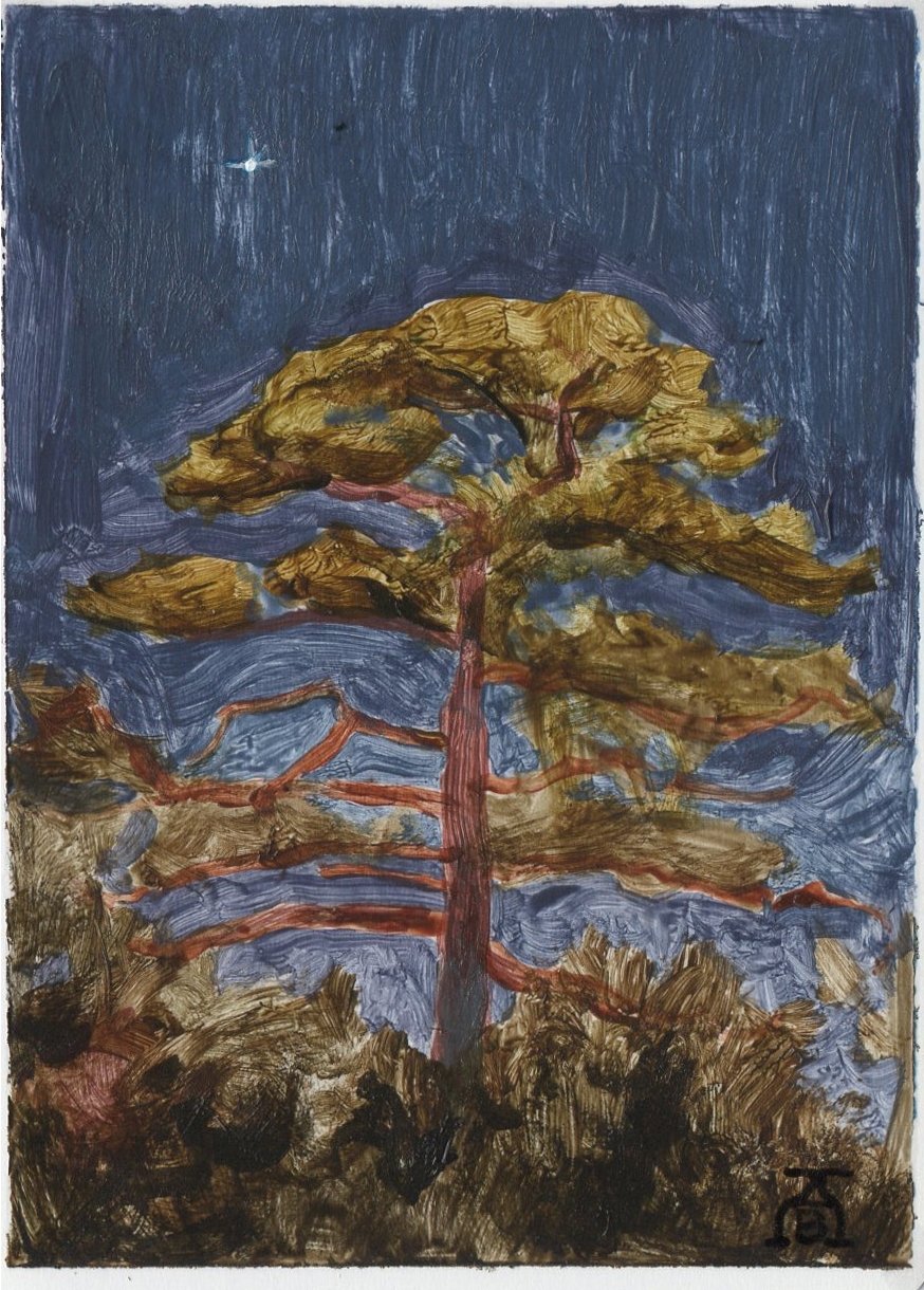 2023-12-30 tree back.jpg