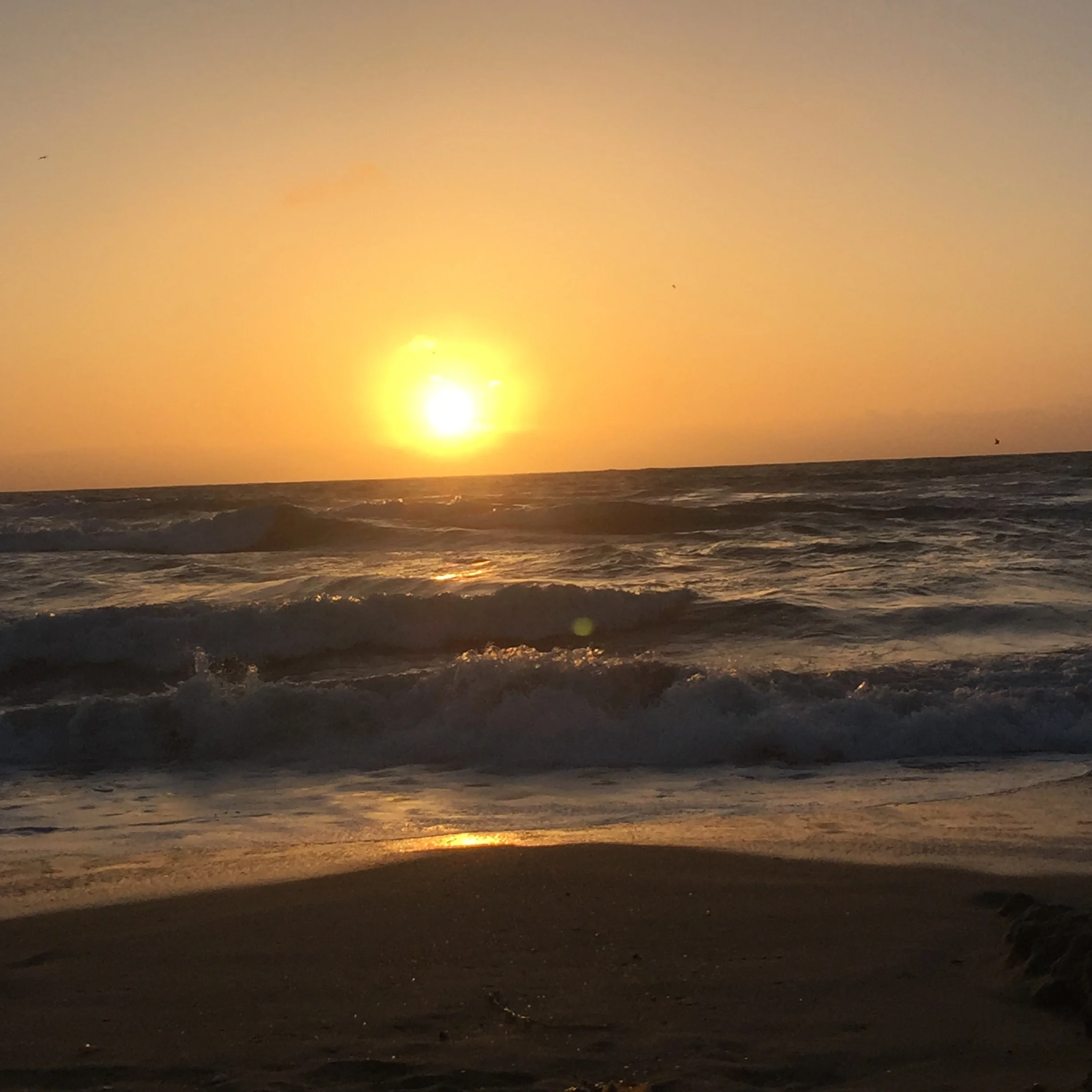 10 Sites You Need to Check Before Booking your Trip