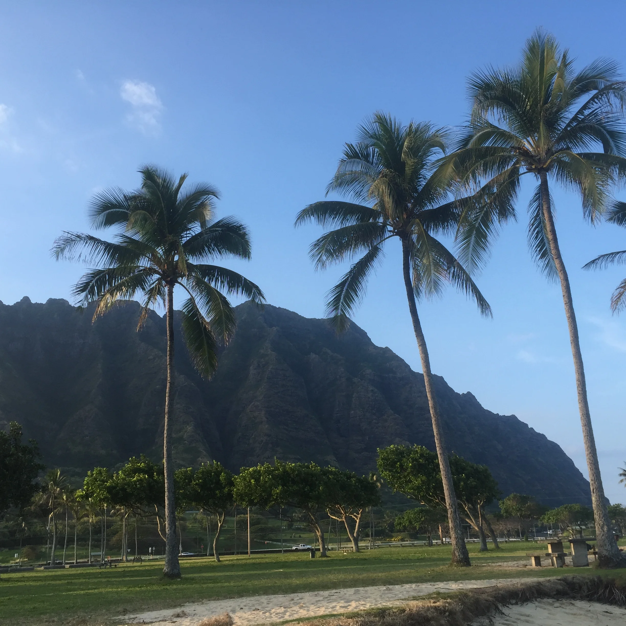 The BEST Deal on Groupon Right Now for Adventure Lovers.