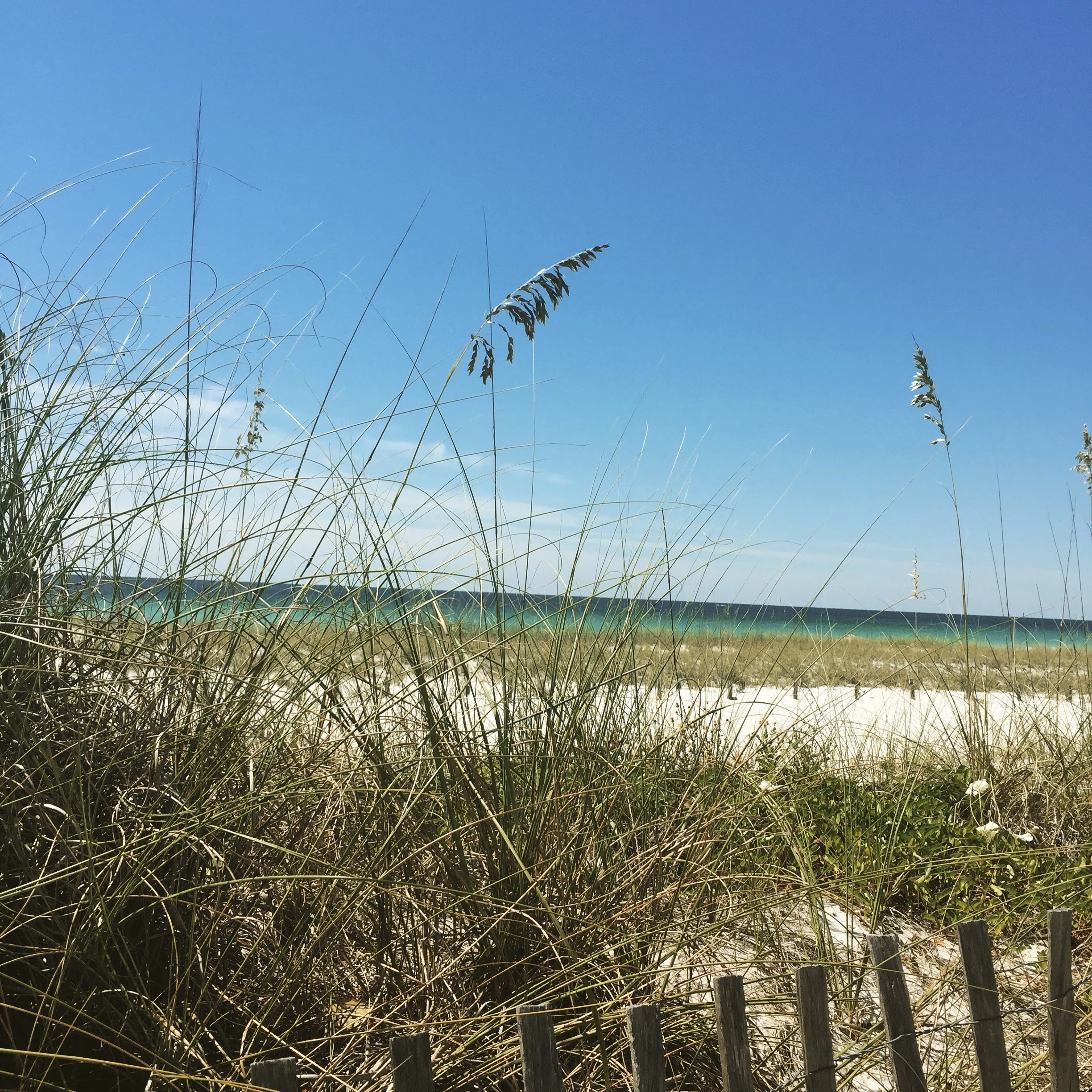 The one discount travel site that *actually* can save you $50 a night on hotels. 